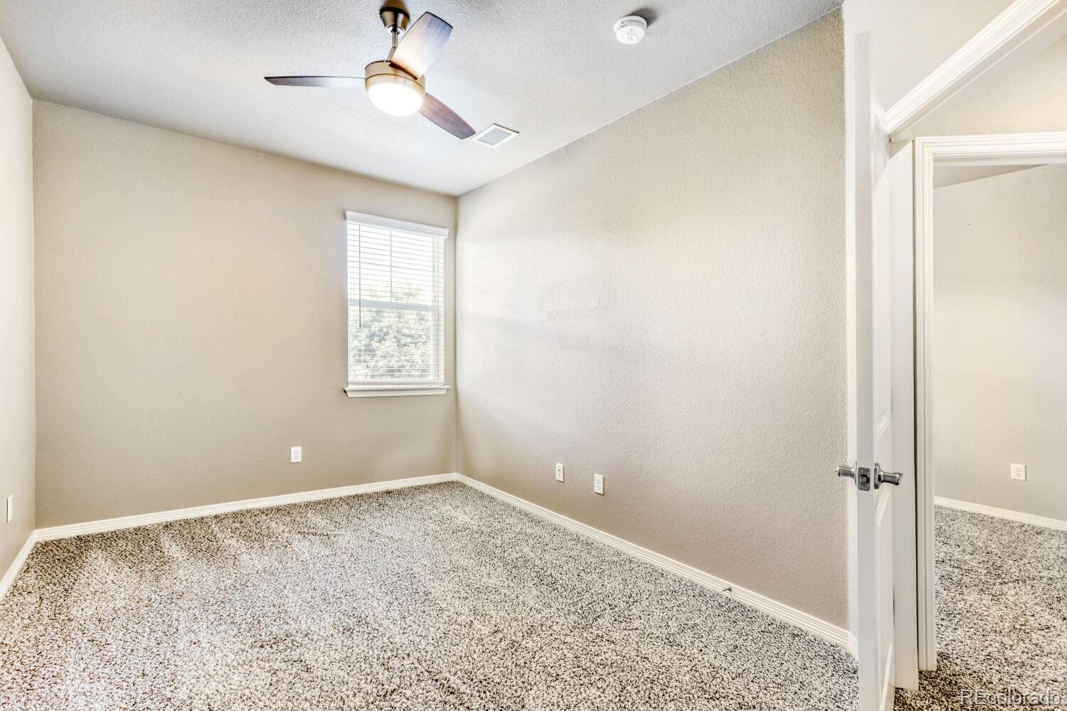 MLS Image #20 for 1686  grand avenue,windsor, Colorado