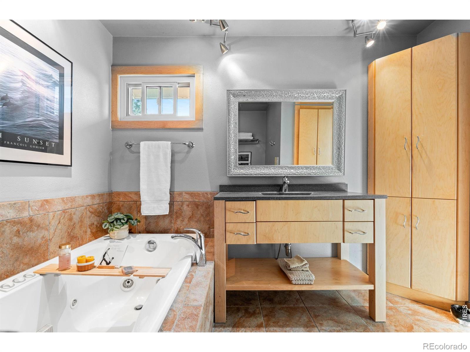 MLS Image #21 for 7787  windfont row,parker, Colorado