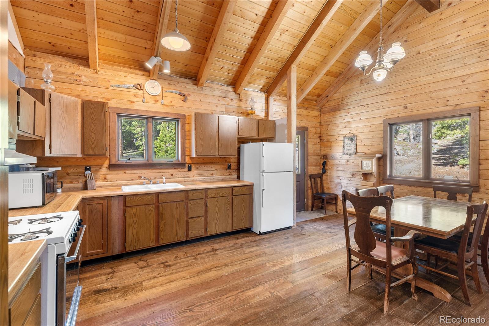 MLS Image #20 for 424  dry gulch road,fairplay, Colorado