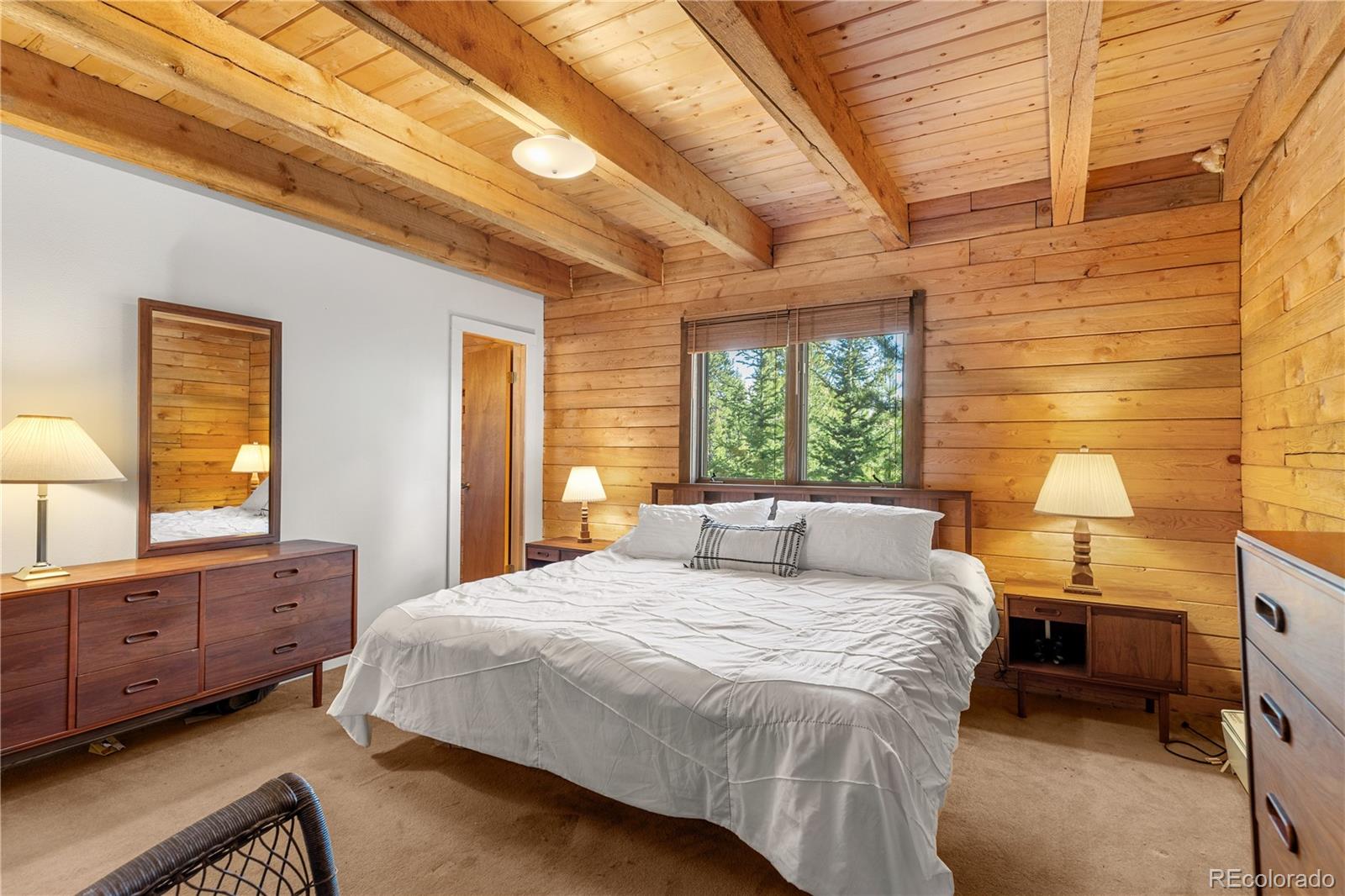 MLS Image #28 for 424  dry gulch road,fairplay, Colorado