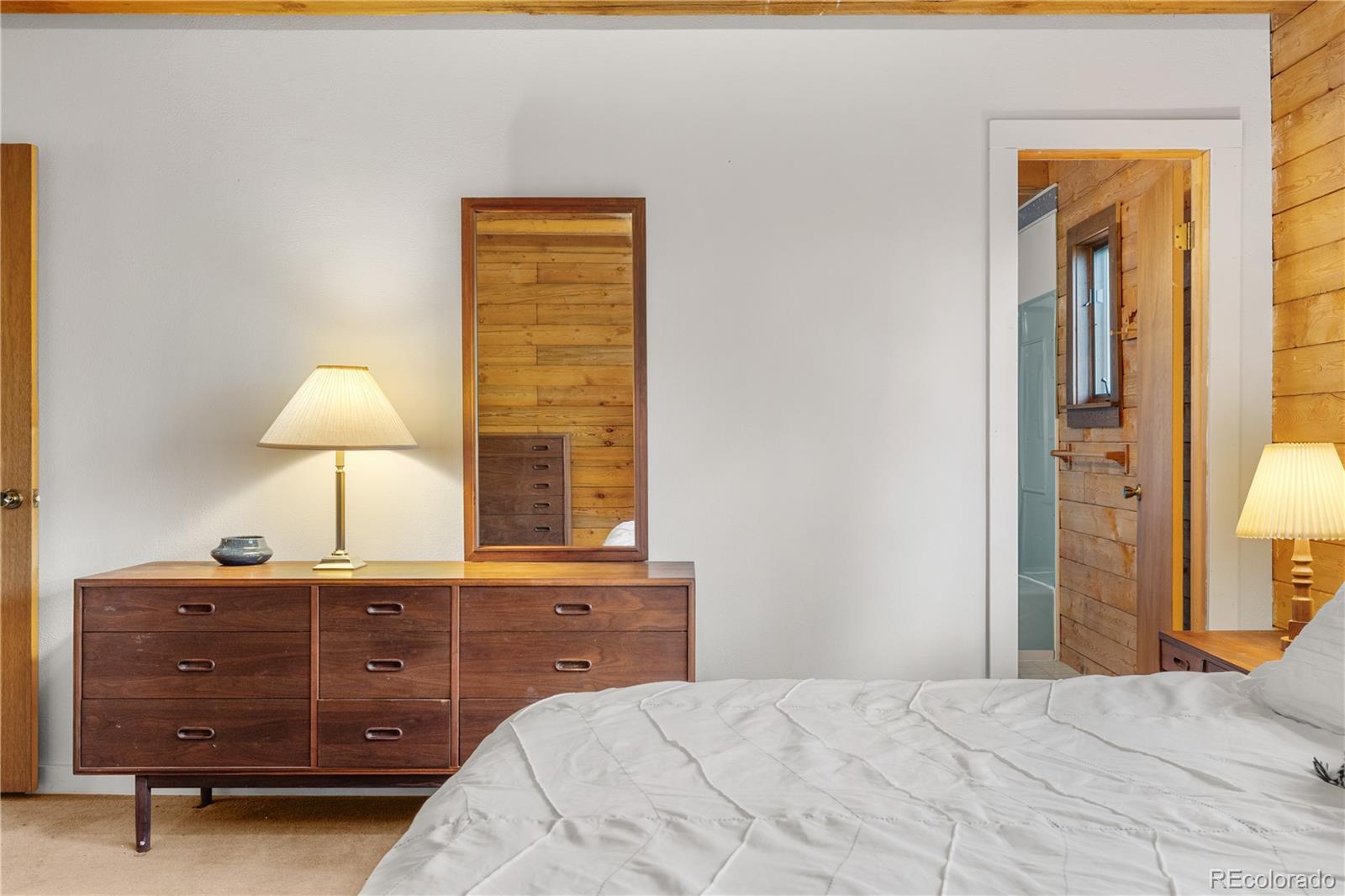 MLS Image #29 for 424  dry gulch road,fairplay, Colorado