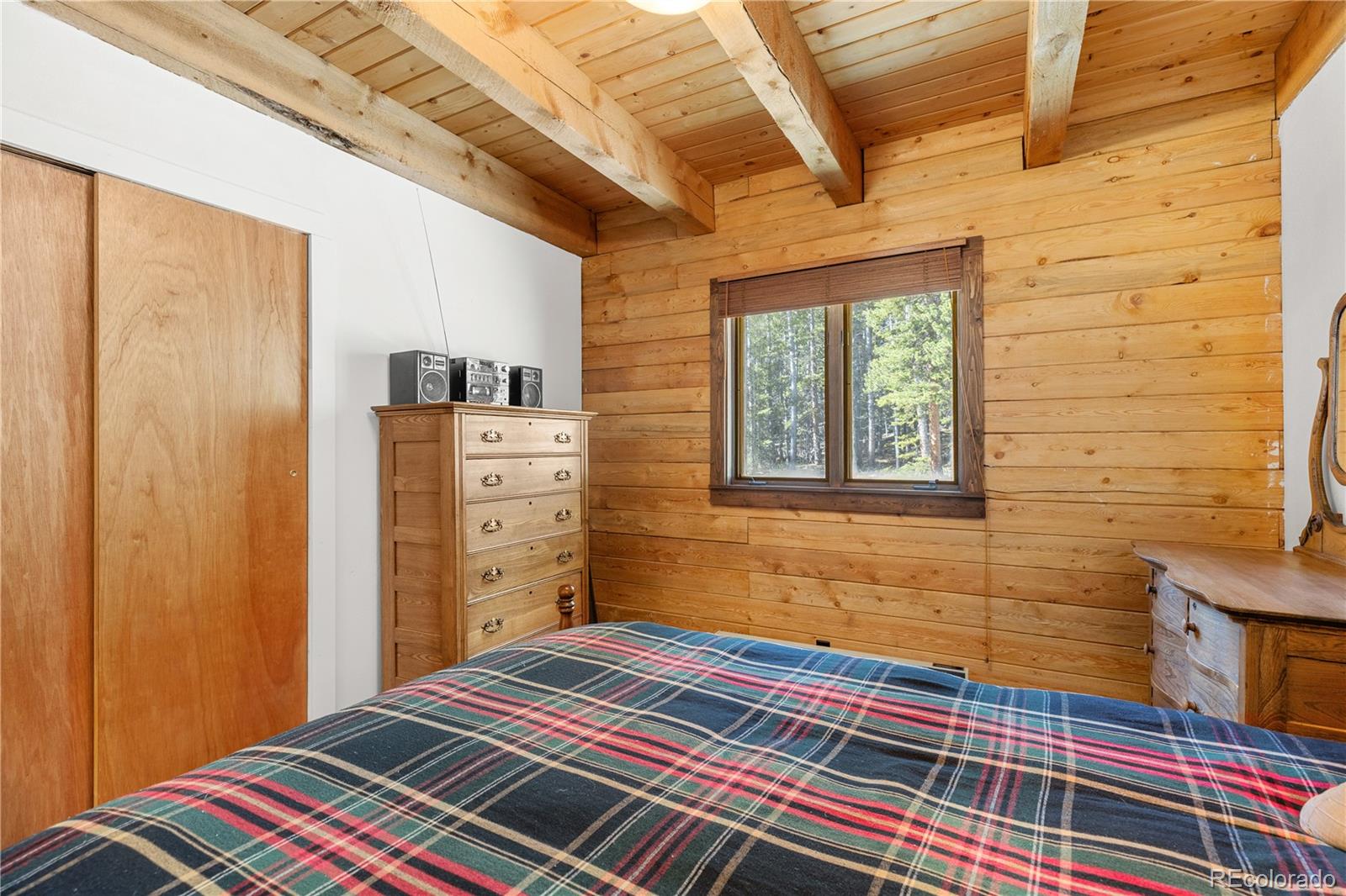 MLS Image #35 for 424  dry gulch road,fairplay, Colorado