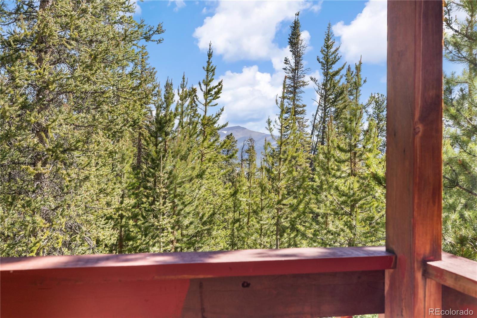 MLS Image #6 for 424  dry gulch road,fairplay, Colorado