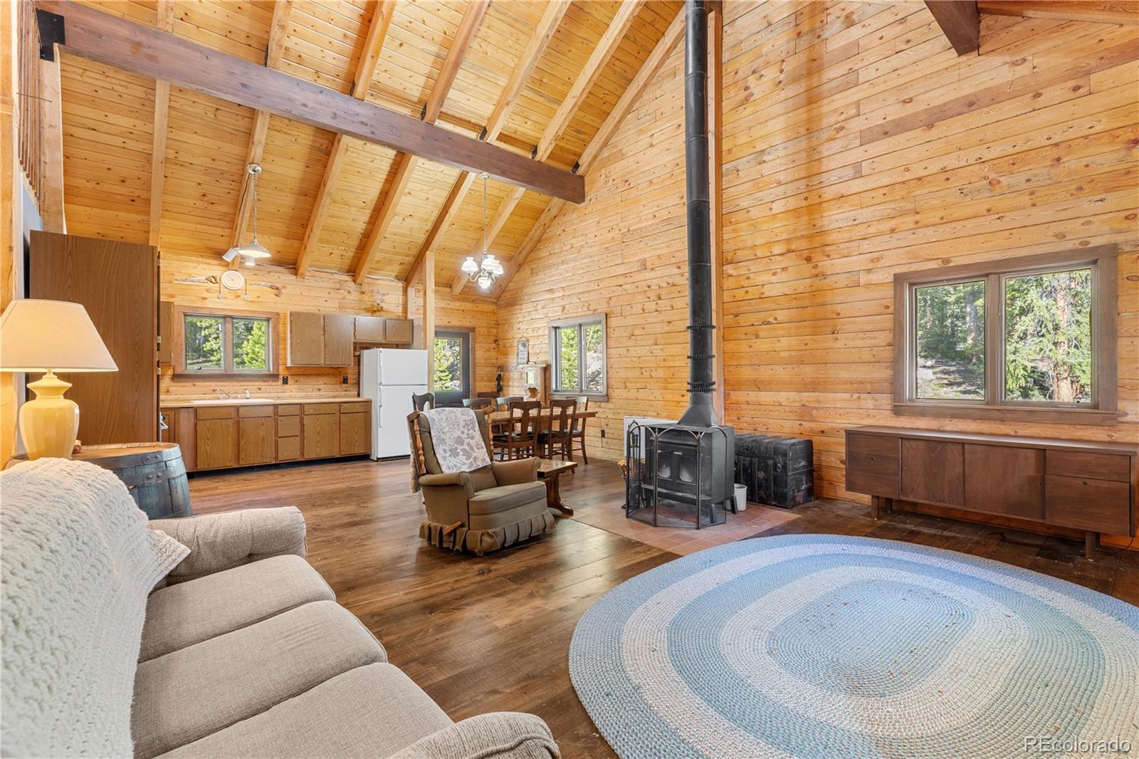 MLS Image #7 for 424  dry gulch road,fairplay, Colorado