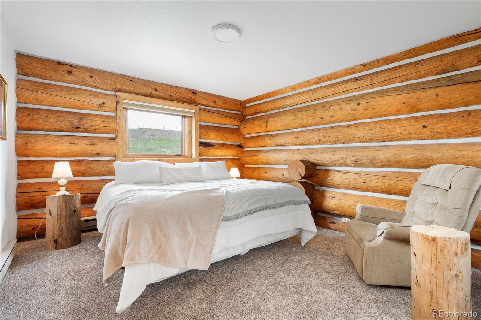 MLS Image #11 for 135  county road 4110 ,granby, Colorado