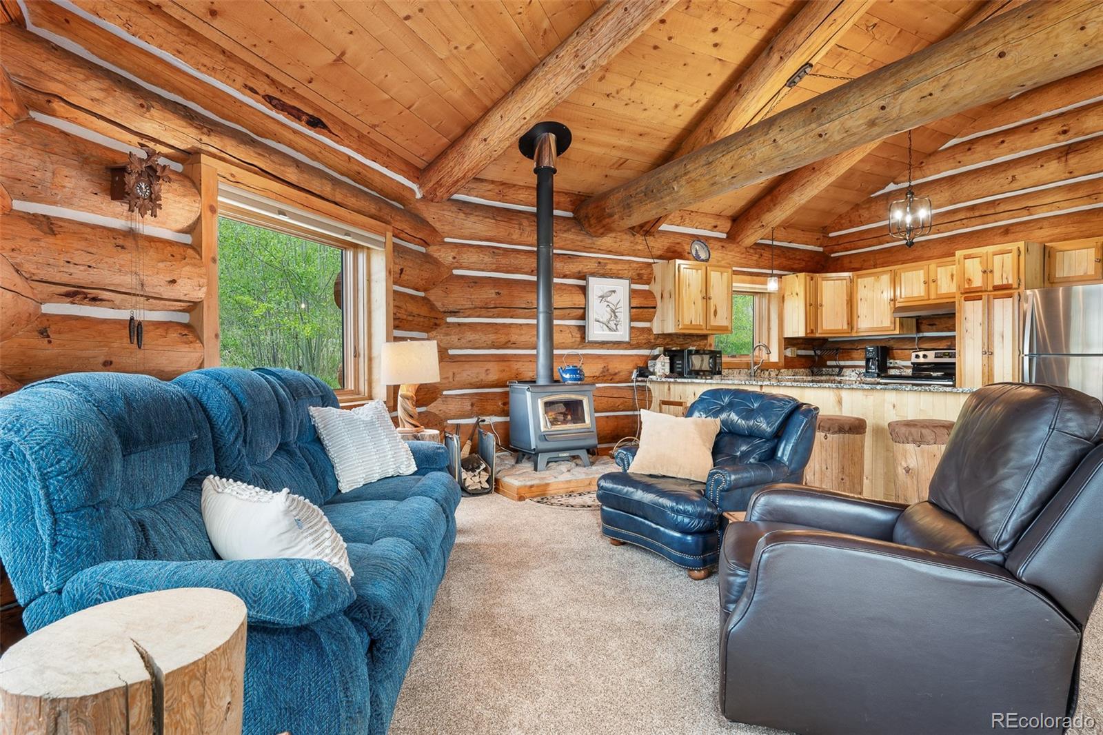 MLS Image #24 for 135  county road 4110 ,granby, Colorado