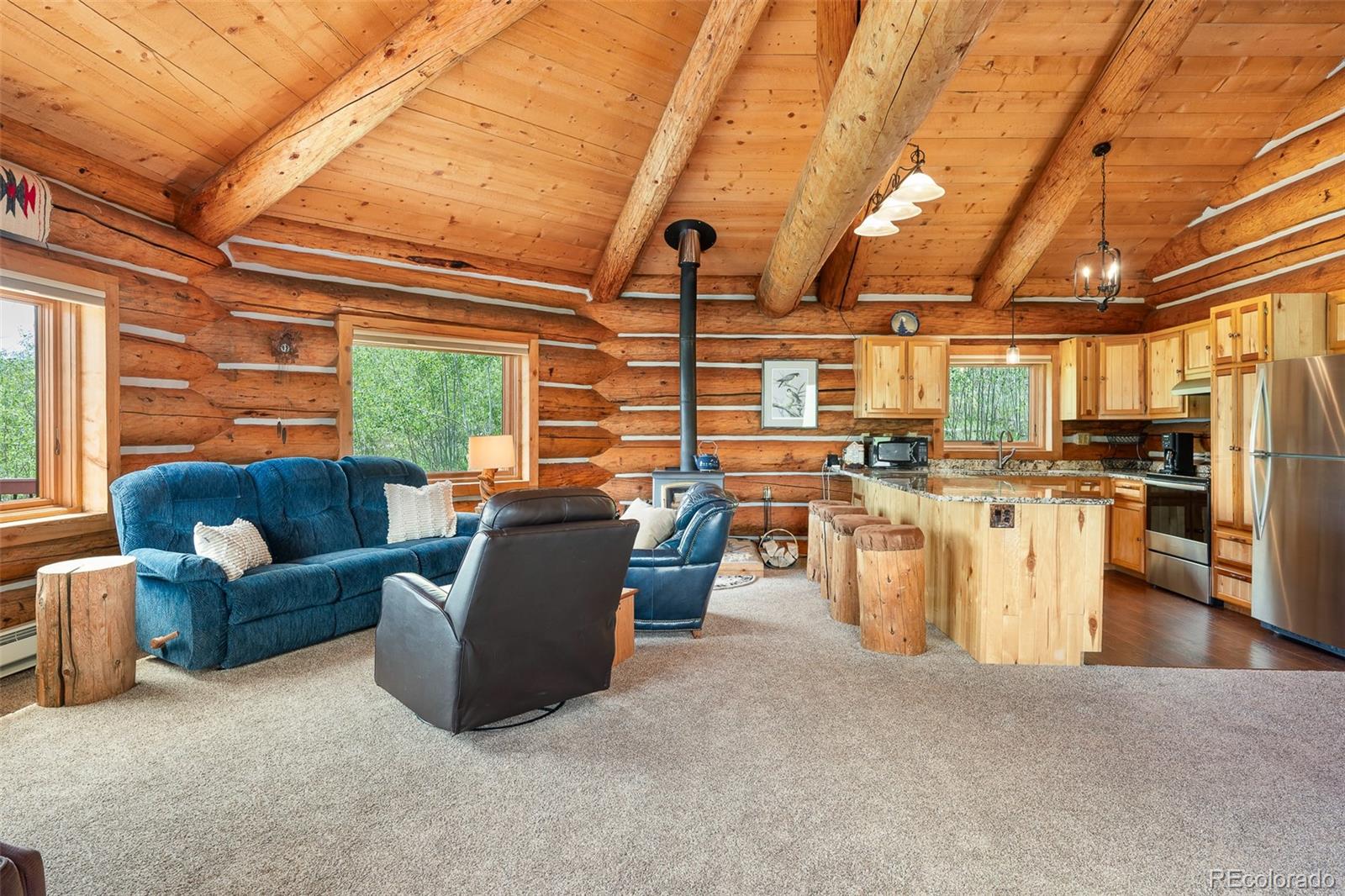 MLS Image #4 for 135  county road 4110 ,granby, Colorado