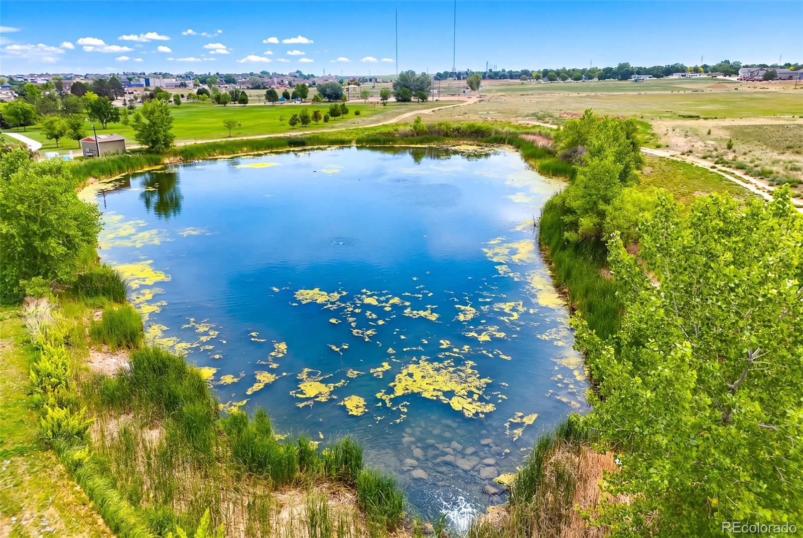MLS Image #32 for 121  8th street,frederick, Colorado