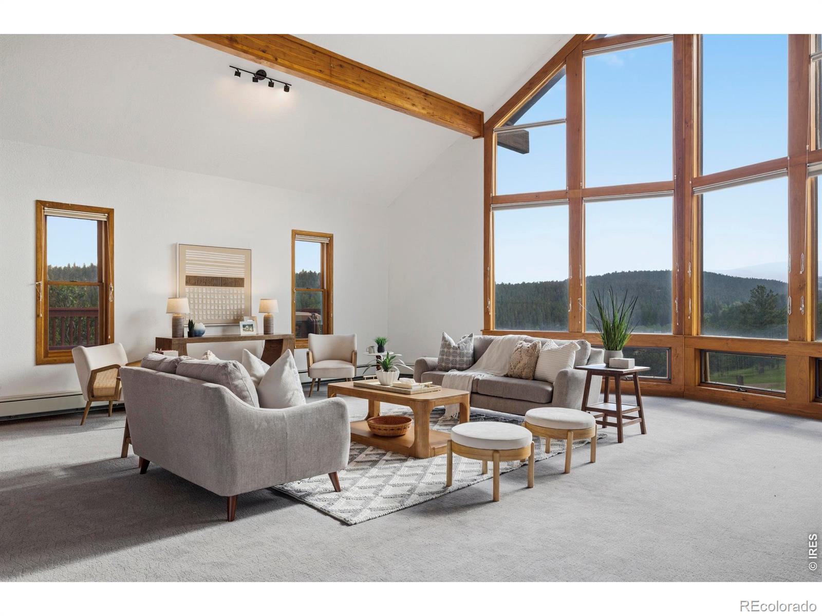 MLS Image #20 for 8238  sugarloaf road,boulder, Colorado
