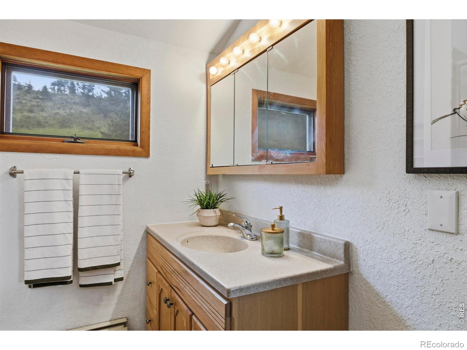 MLS Image #39 for 8238  sugarloaf road,boulder, Colorado