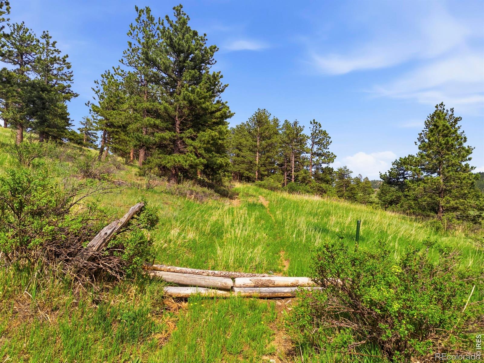 MLS Image #43 for 8238  sugarloaf road,boulder, Colorado