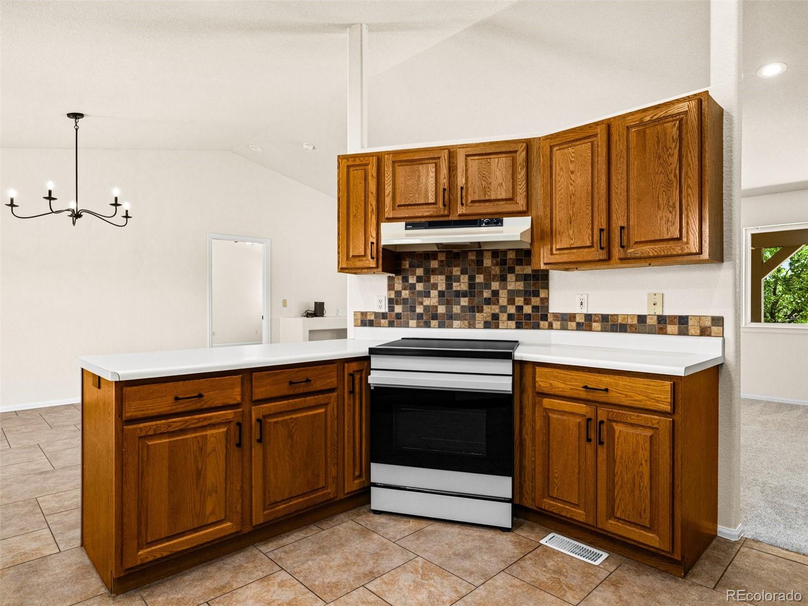 MLS Image #8 for 1151 w buena ventura court,pueblo, Colorado