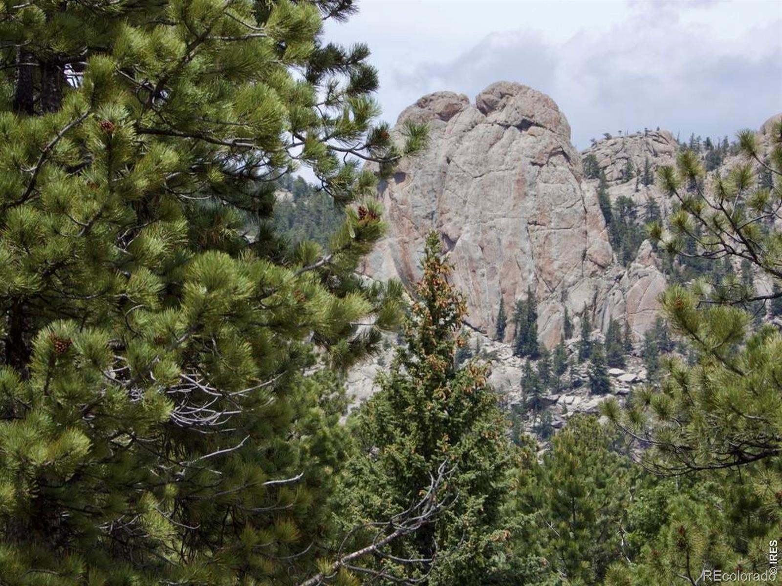 MLS Image #5 for 680  findley court,estes park, Colorado