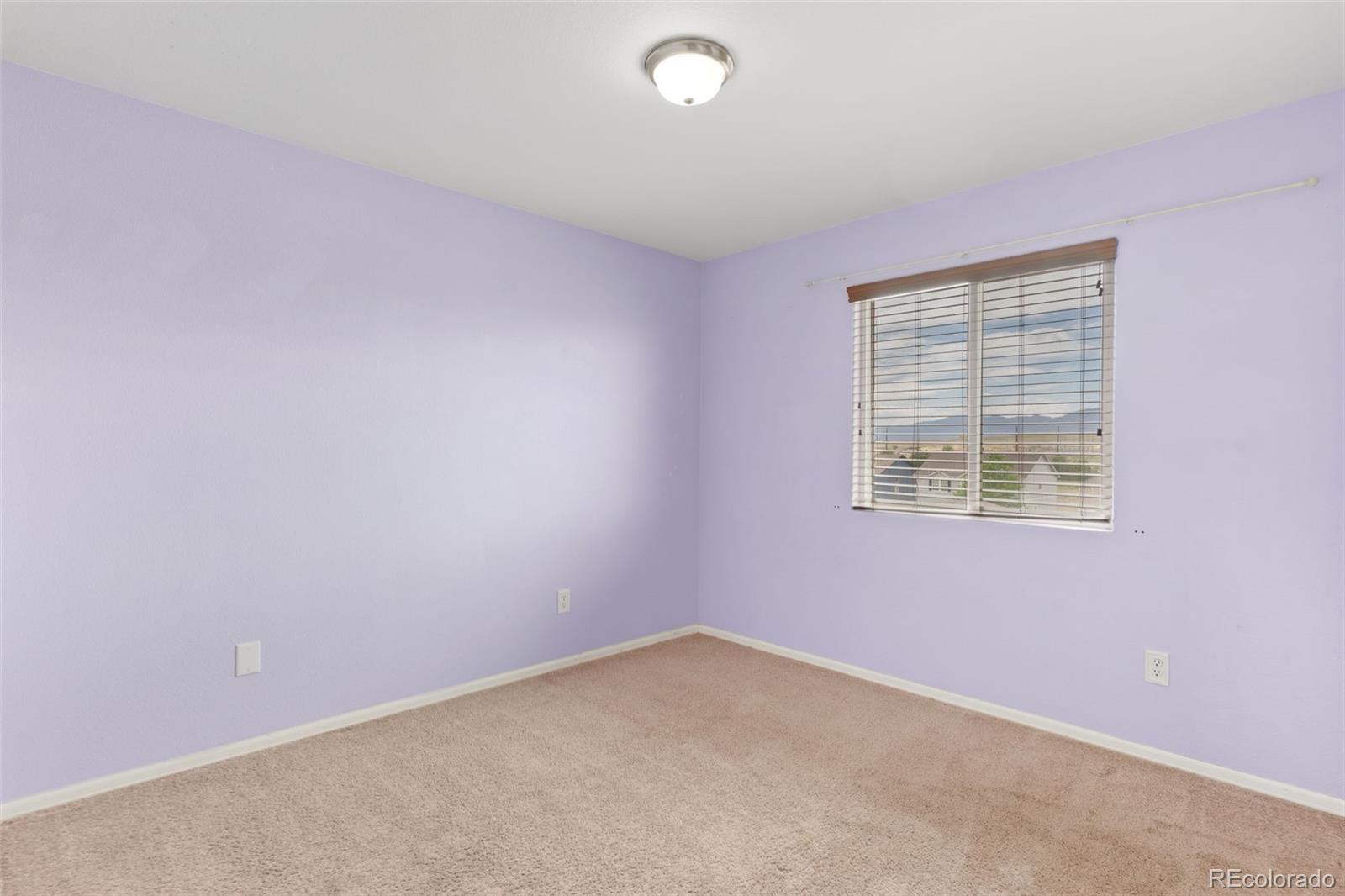 MLS Image #17 for 3802  tahoe forest lane,colorado springs, Colorado