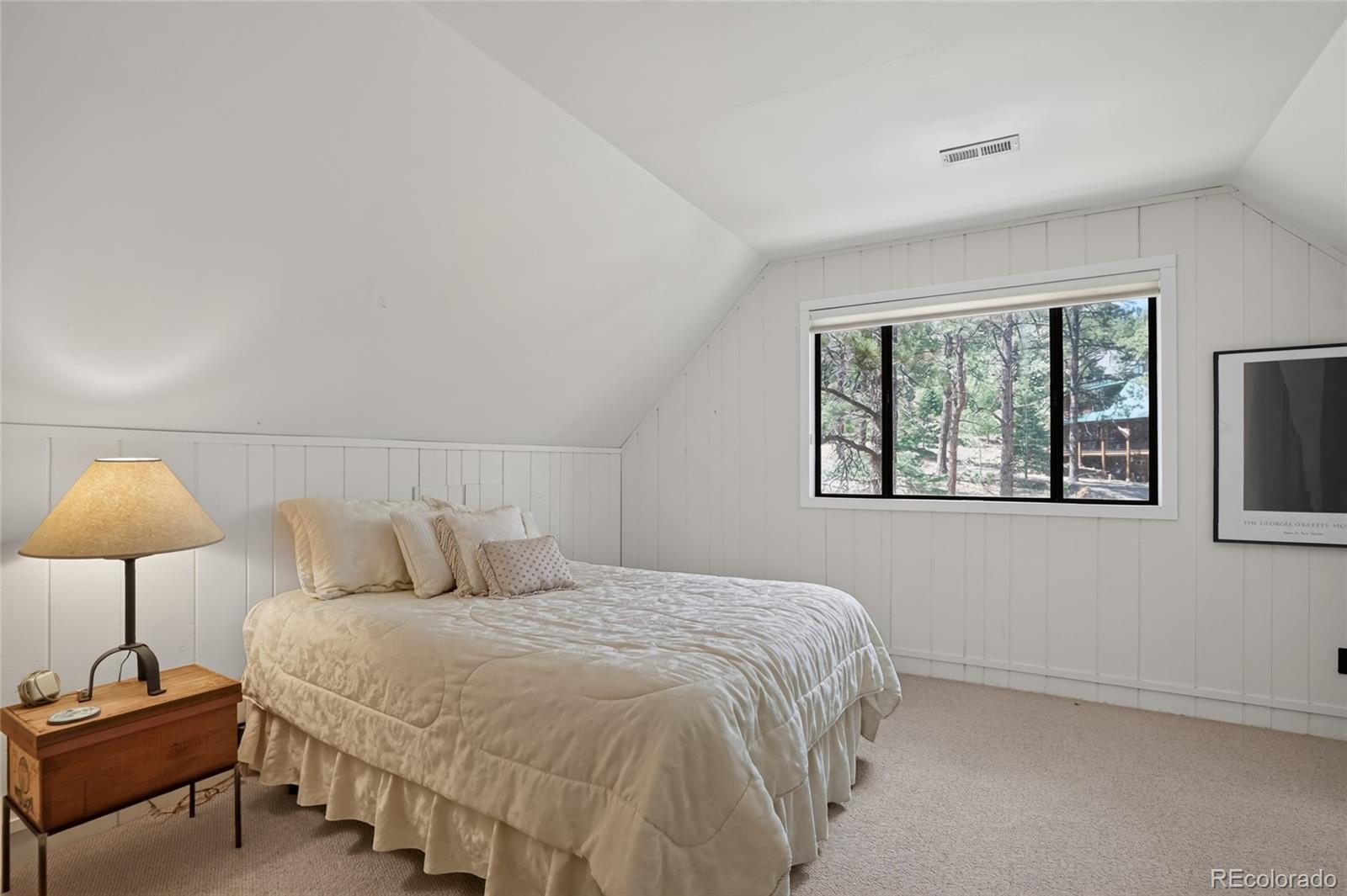 MLS Image #27 for 45  co rd 401 street,cuchara, Colorado