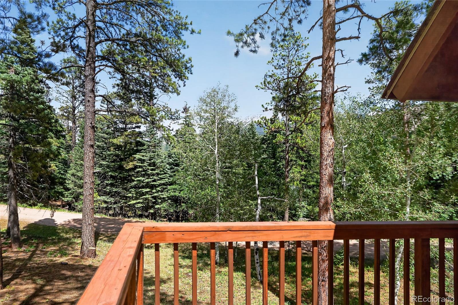 MLS Image #40 for 45  co rd 401 street,cuchara, Colorado