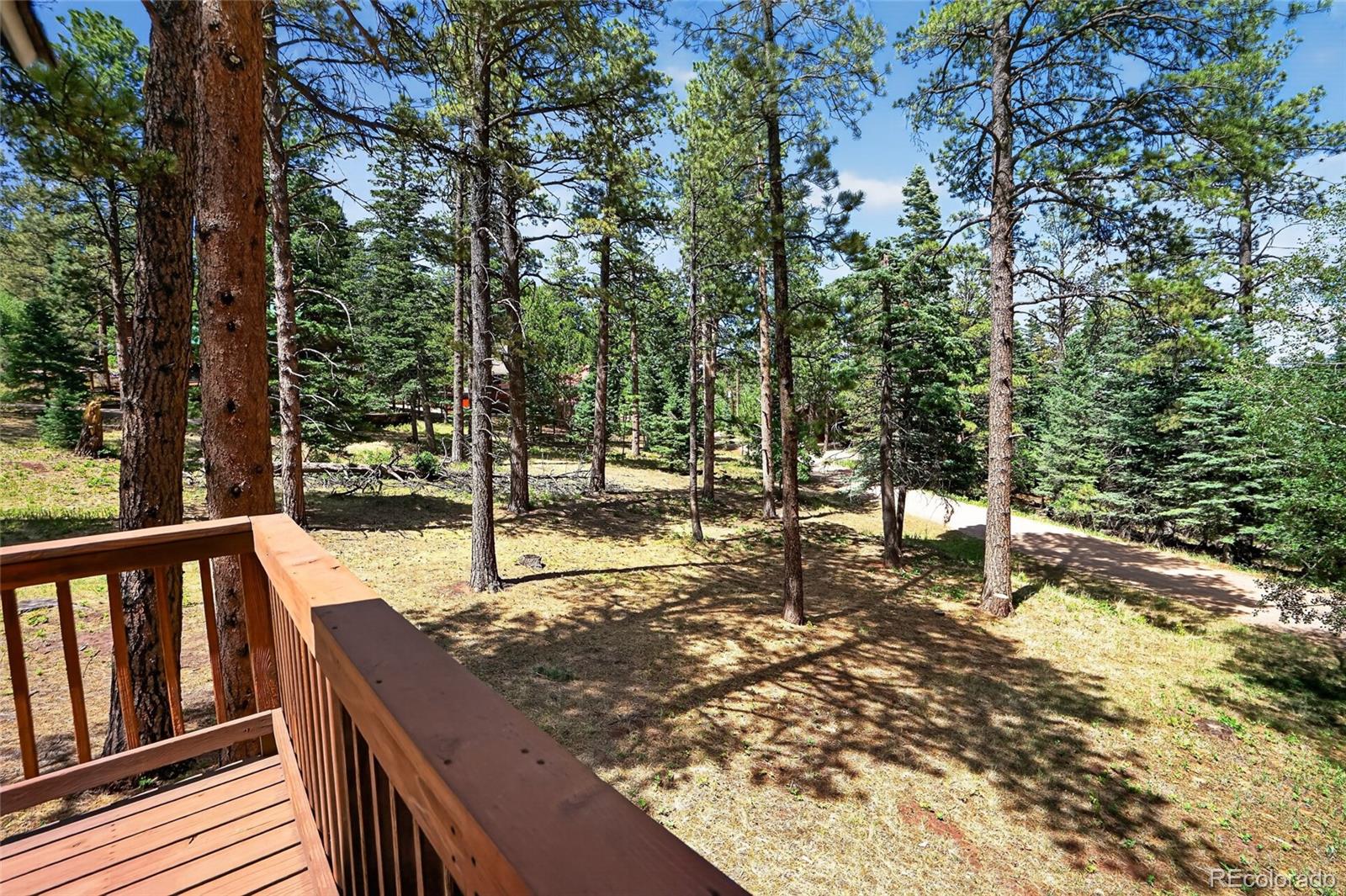 MLS Image #46 for 45  co rd 401 street,cuchara, Colorado