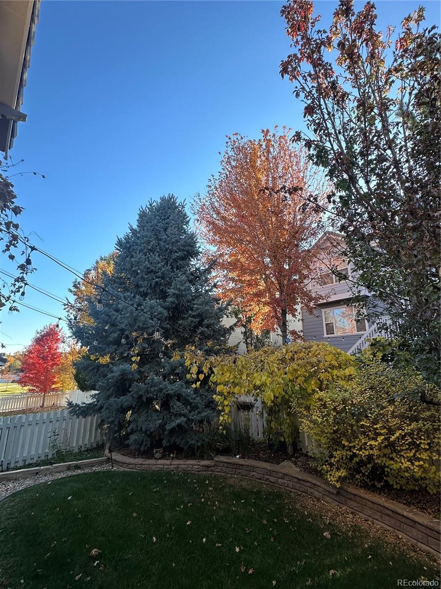 MLS Image #44 for 3460  springmeadow circle,castle rock, Colorado