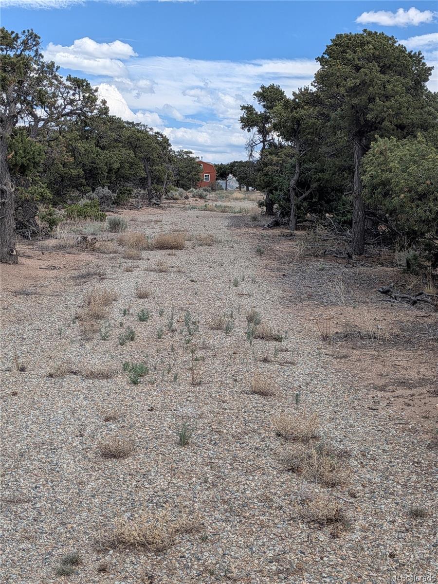 MLS Image #14 for 3302 & 3303  calder road,fort garland, Colorado
