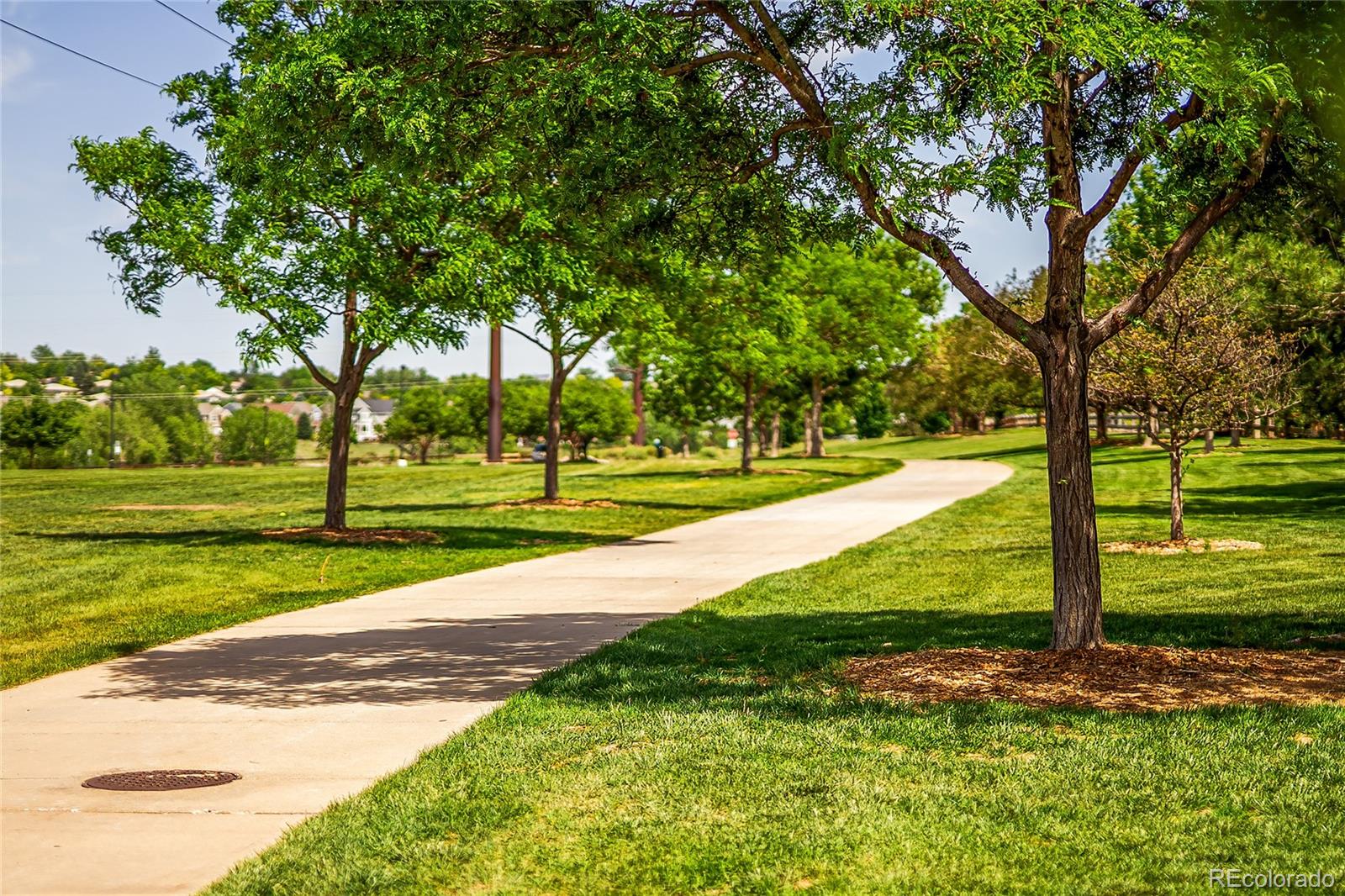 MLS Image #46 for 9441 s hackberry lane,highlands ranch, Colorado