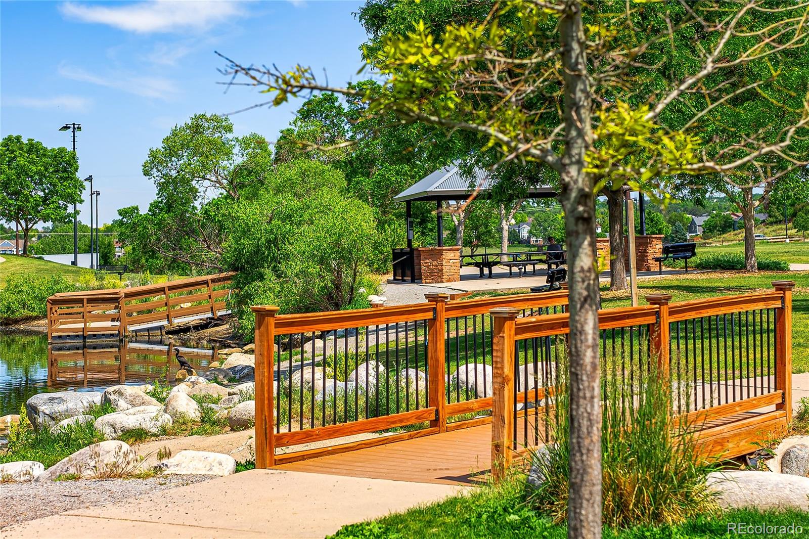 MLS Image #48 for 9441 s hackberry lane,highlands ranch, Colorado