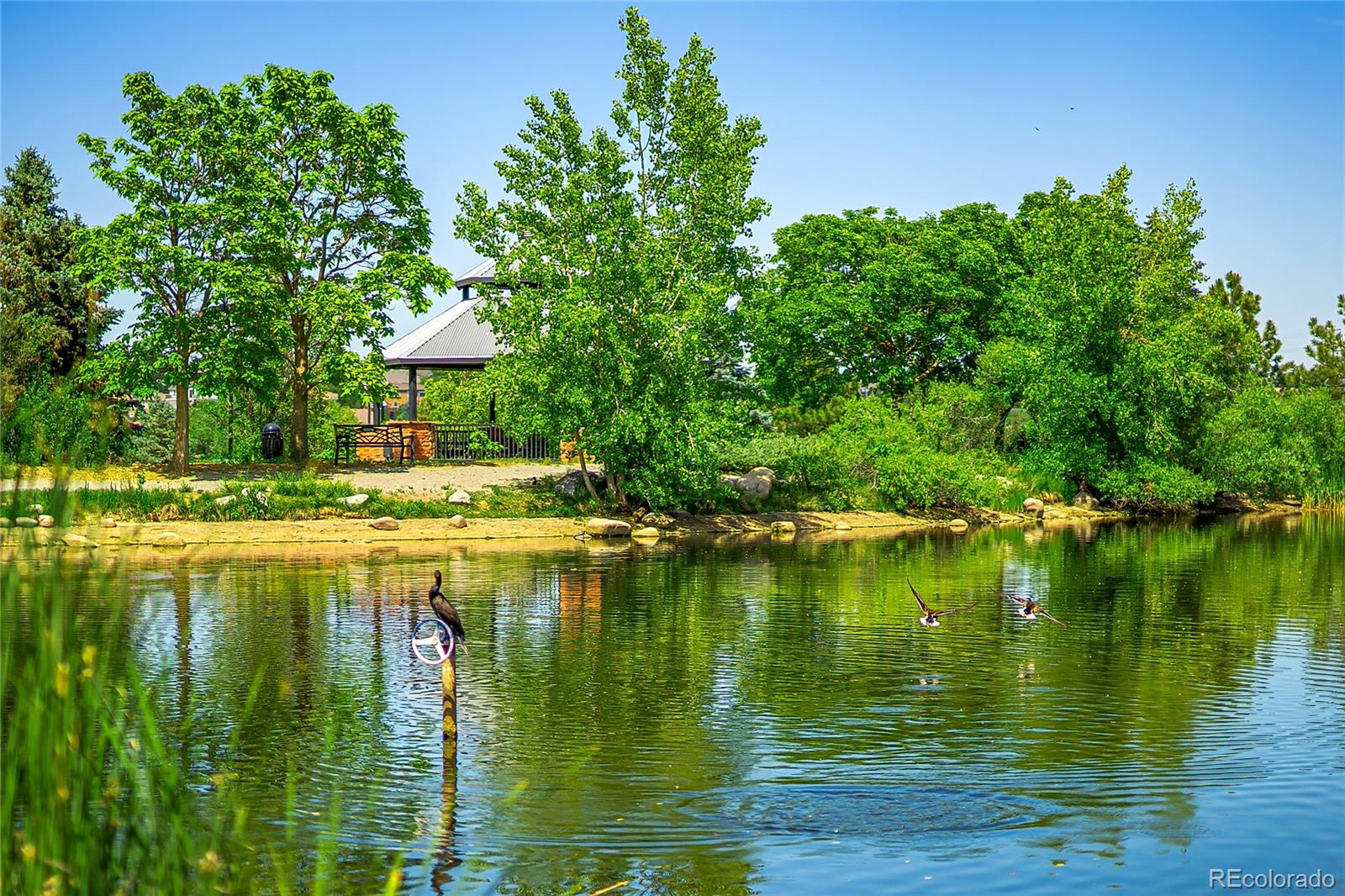MLS Image #49 for 9441 s hackberry lane,highlands ranch, Colorado