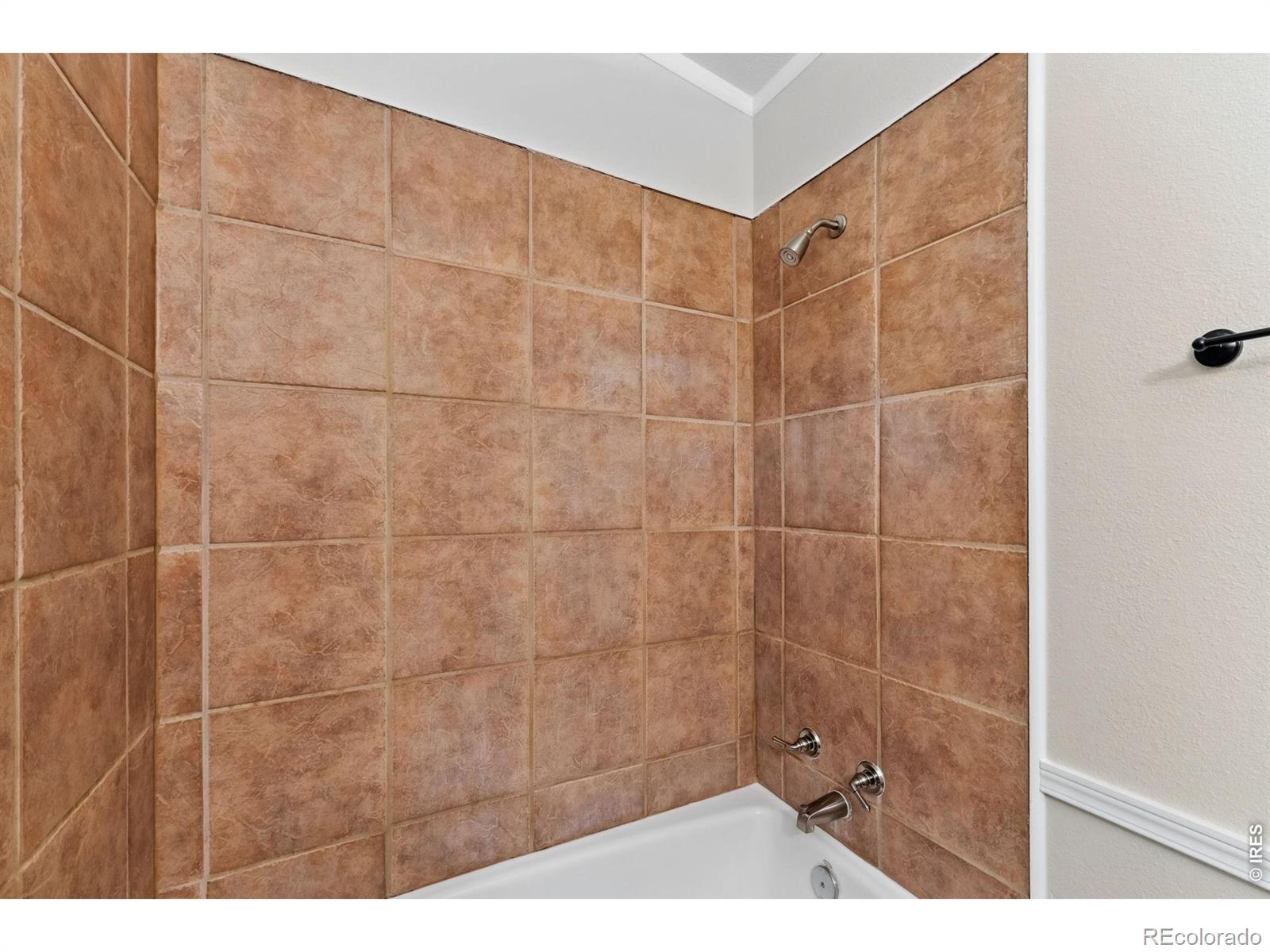 MLS Image #10 for 631  summit drive,dillon, Colorado