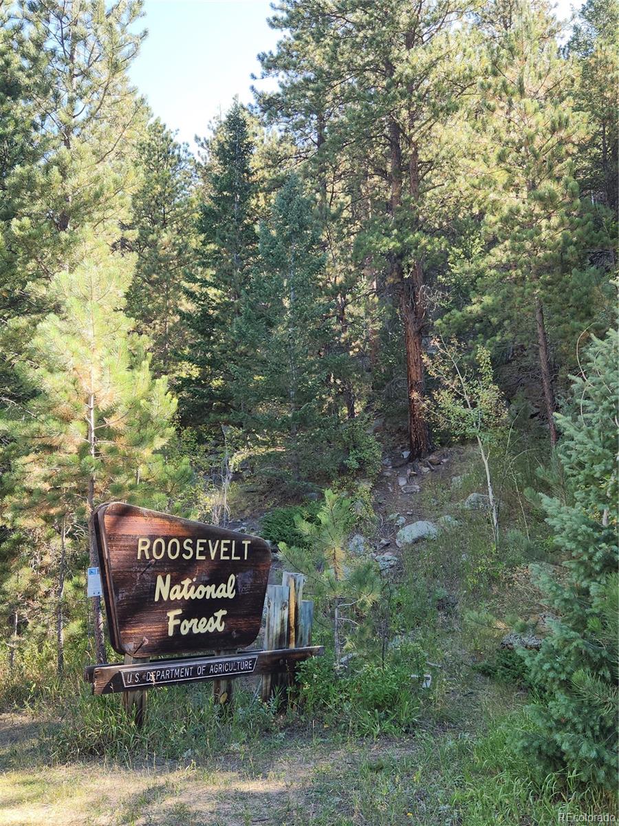 MLS Image #28 for 148  big pine lane,drake, Colorado