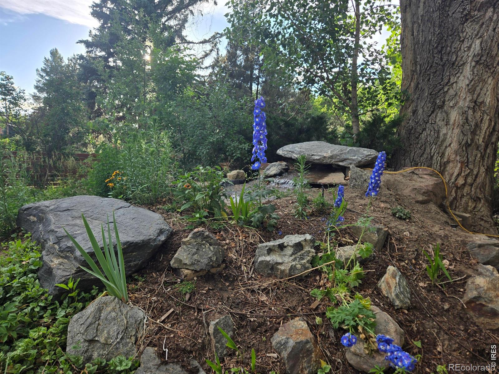 MLS Image #39 for 7656  brockway drive,boulder, Colorado