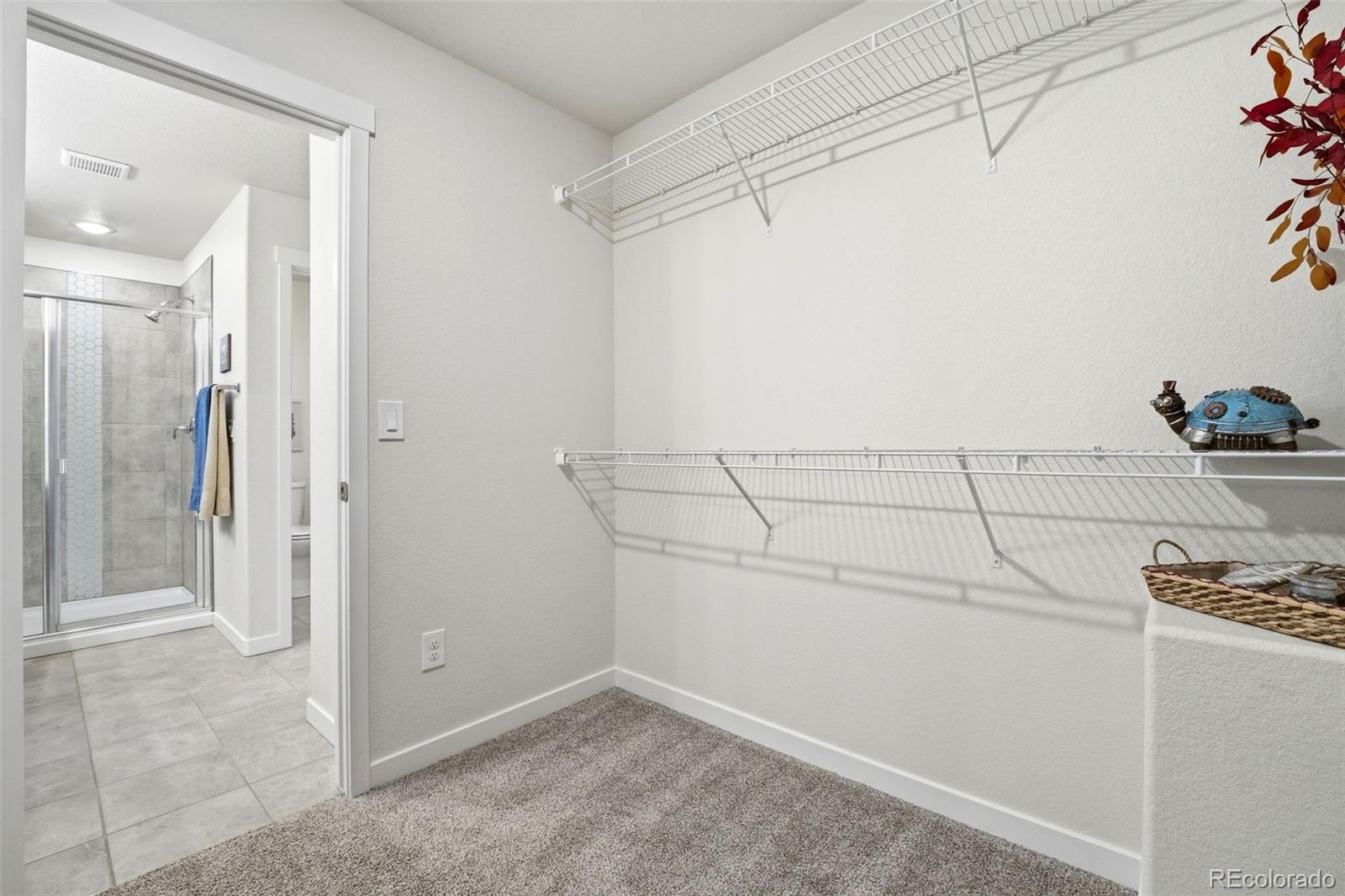 MLS Image #22 for 7654  sun shimmer view,colorado springs, Colorado