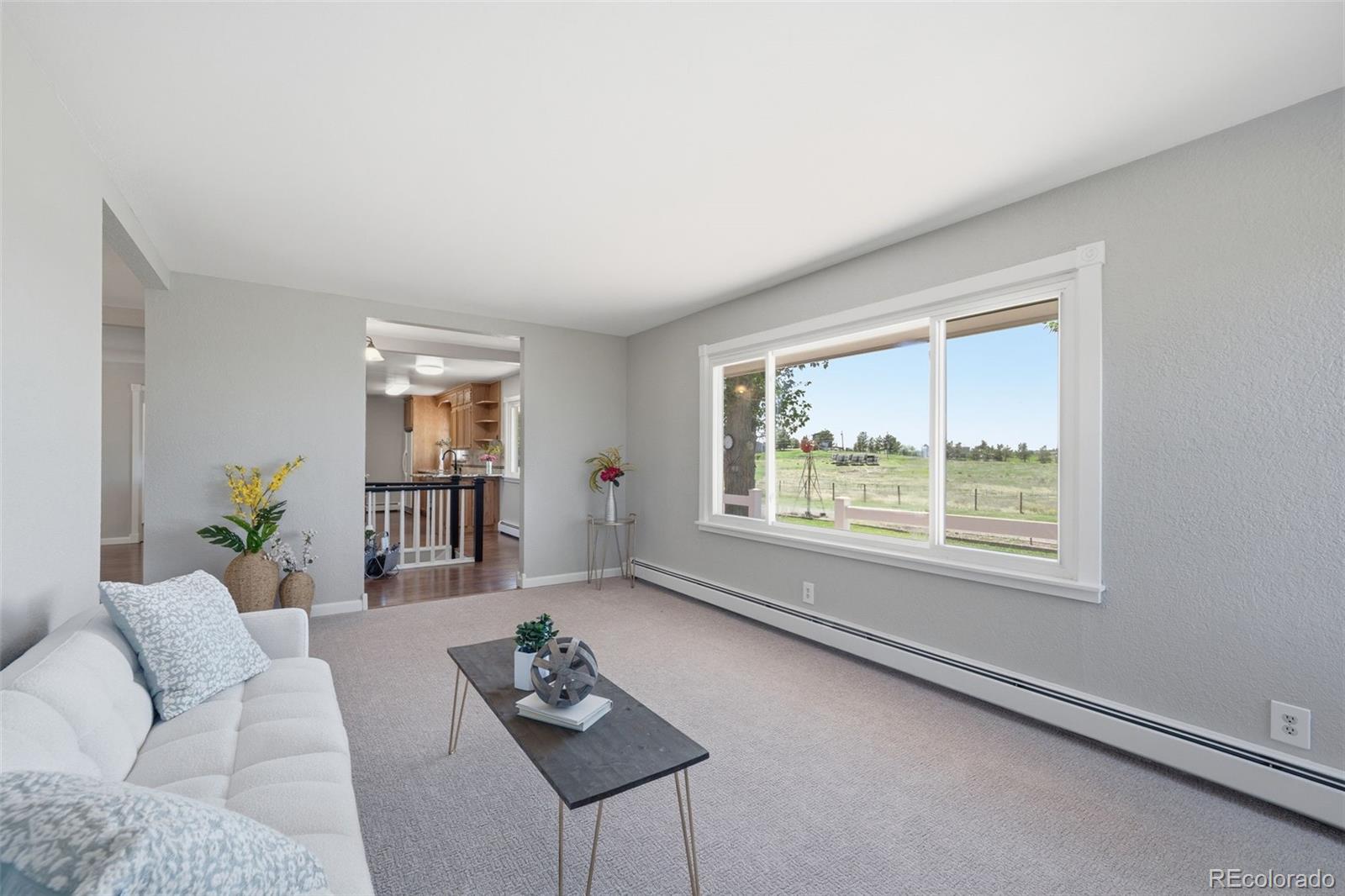 MLS Image #17 for 42593  london drive,parker, Colorado