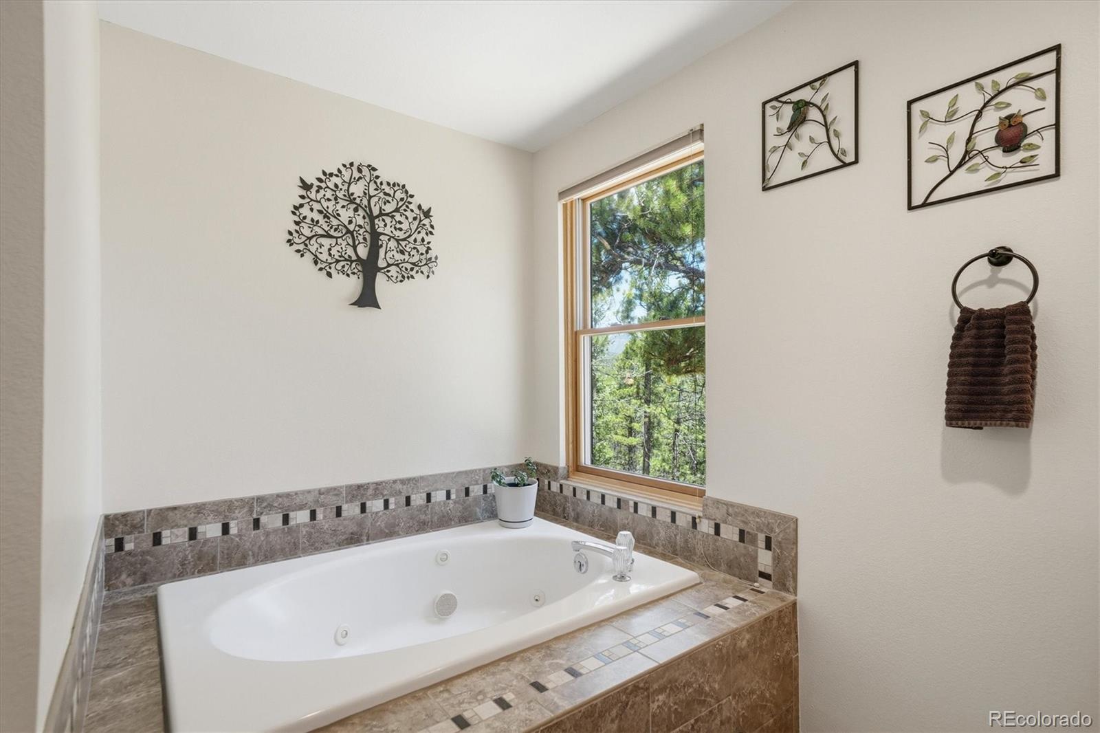 MLS Image #13 for 224  hangman road,bailey, Colorado