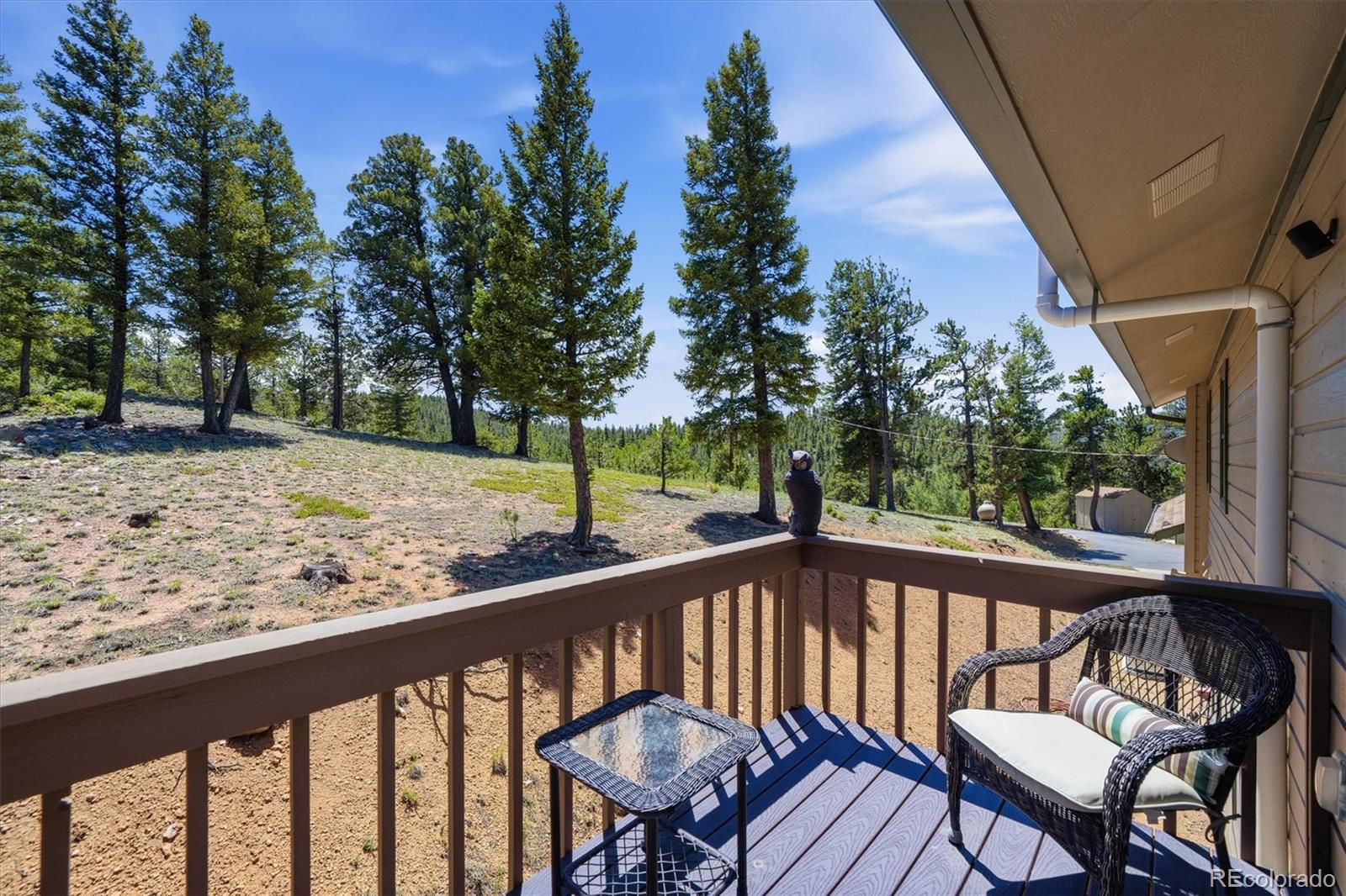 MLS Image #26 for 224  hangman road,bailey, Colorado