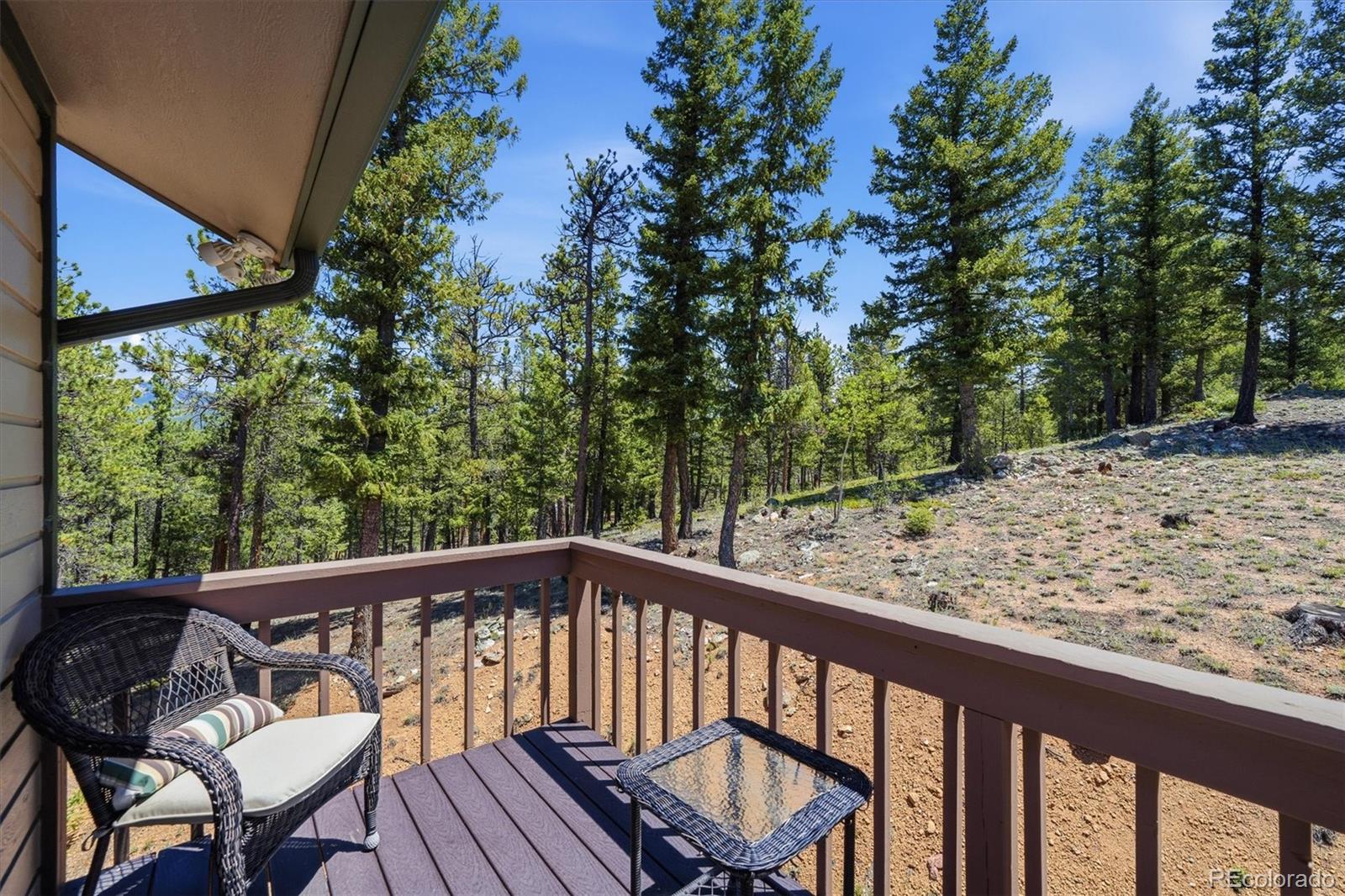 MLS Image #27 for 224  hangman road,bailey, Colorado