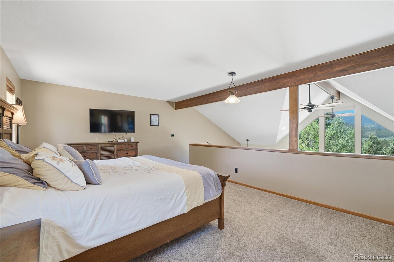 MLS Image #29 for 224  hangman road,bailey, Colorado