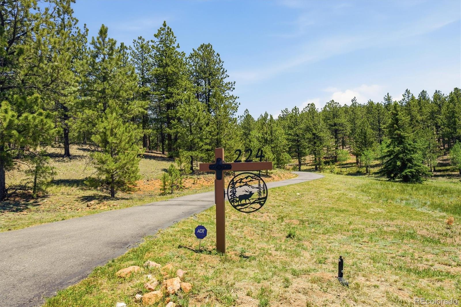 MLS Image #4 for 224  hangman road,bailey, Colorado