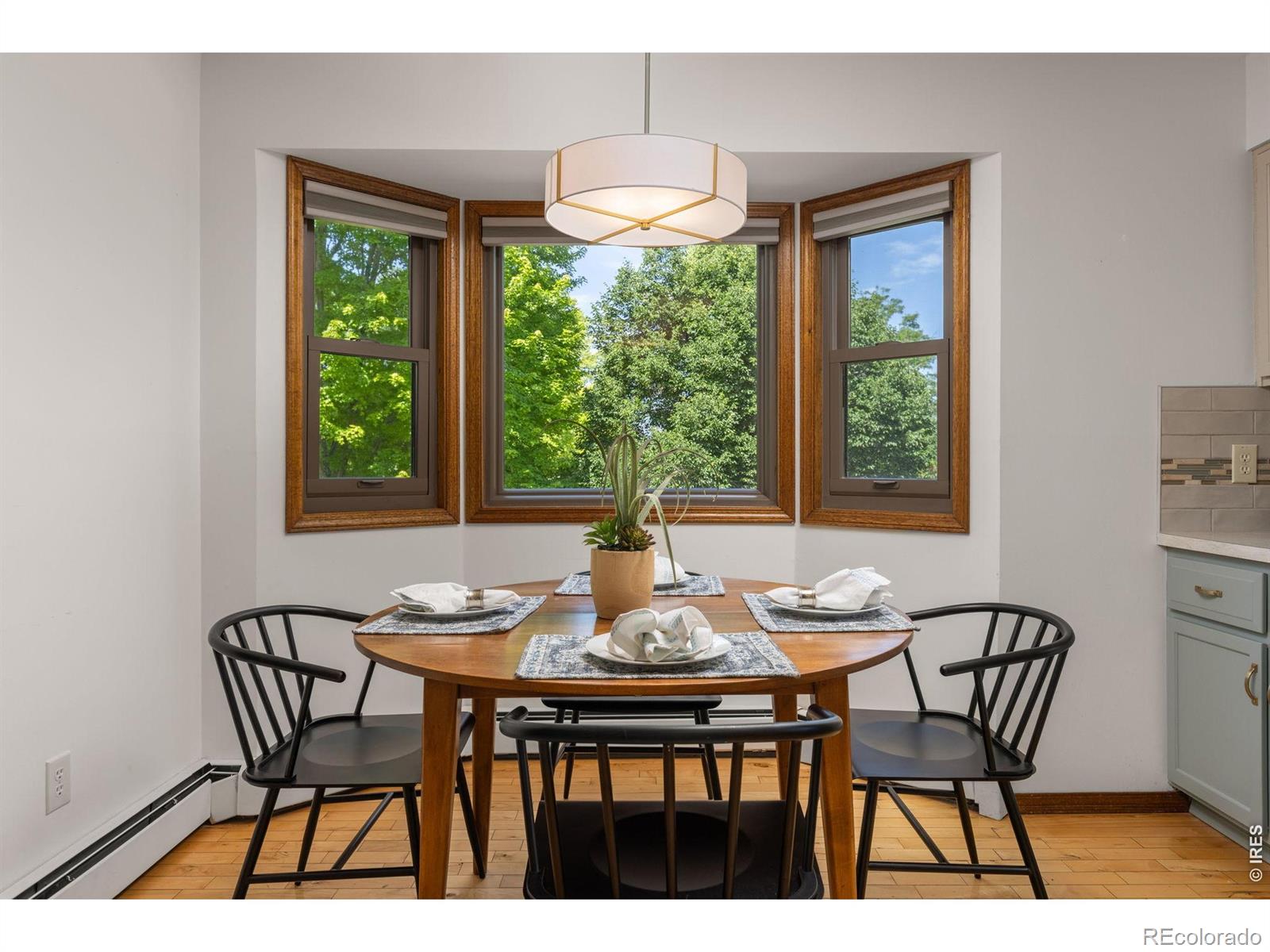MLS Image #14 for 417  westview court,longmont, Colorado