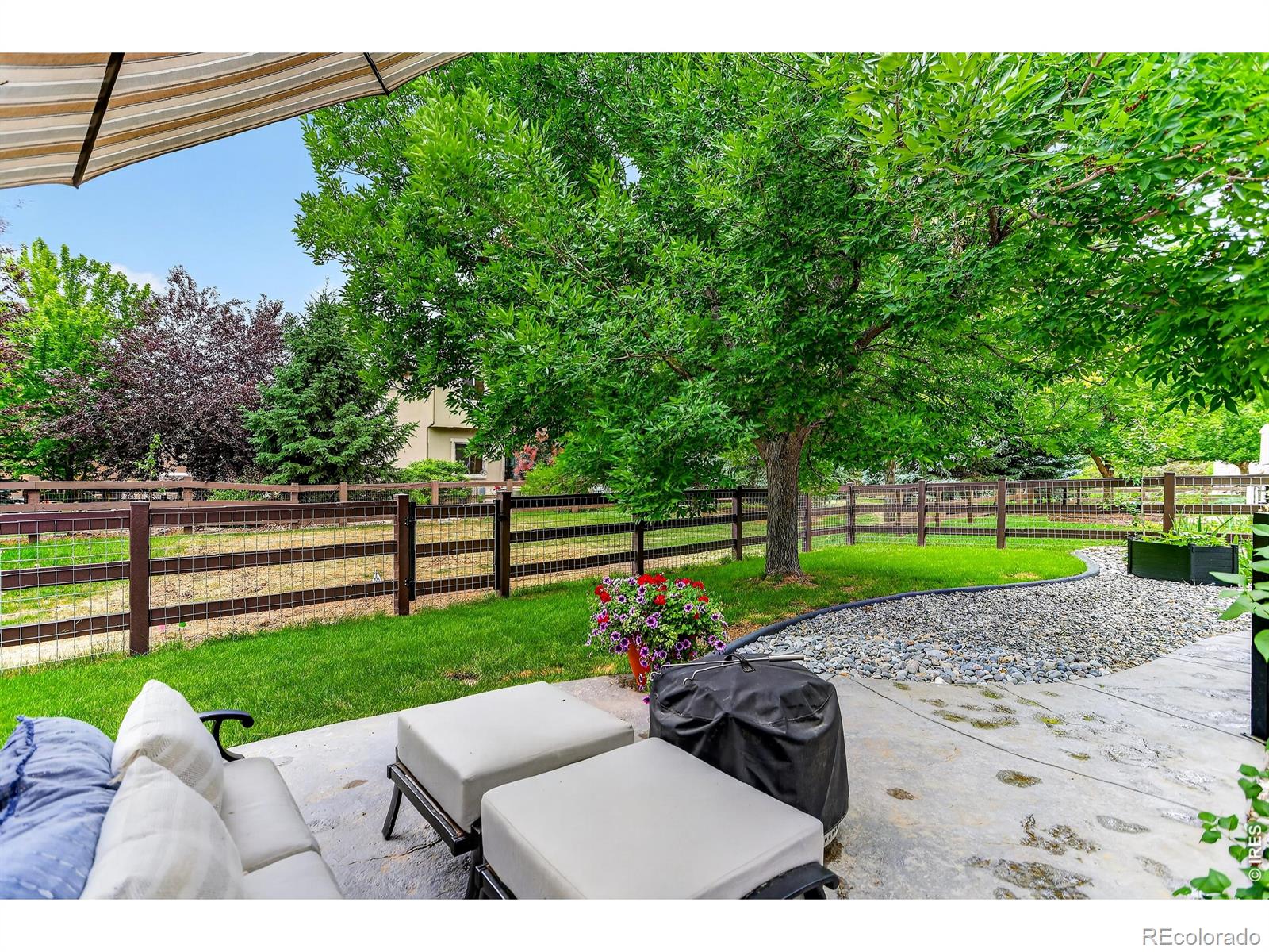 MLS Image #45 for 4624  tarragon drive,johnstown, Colorado