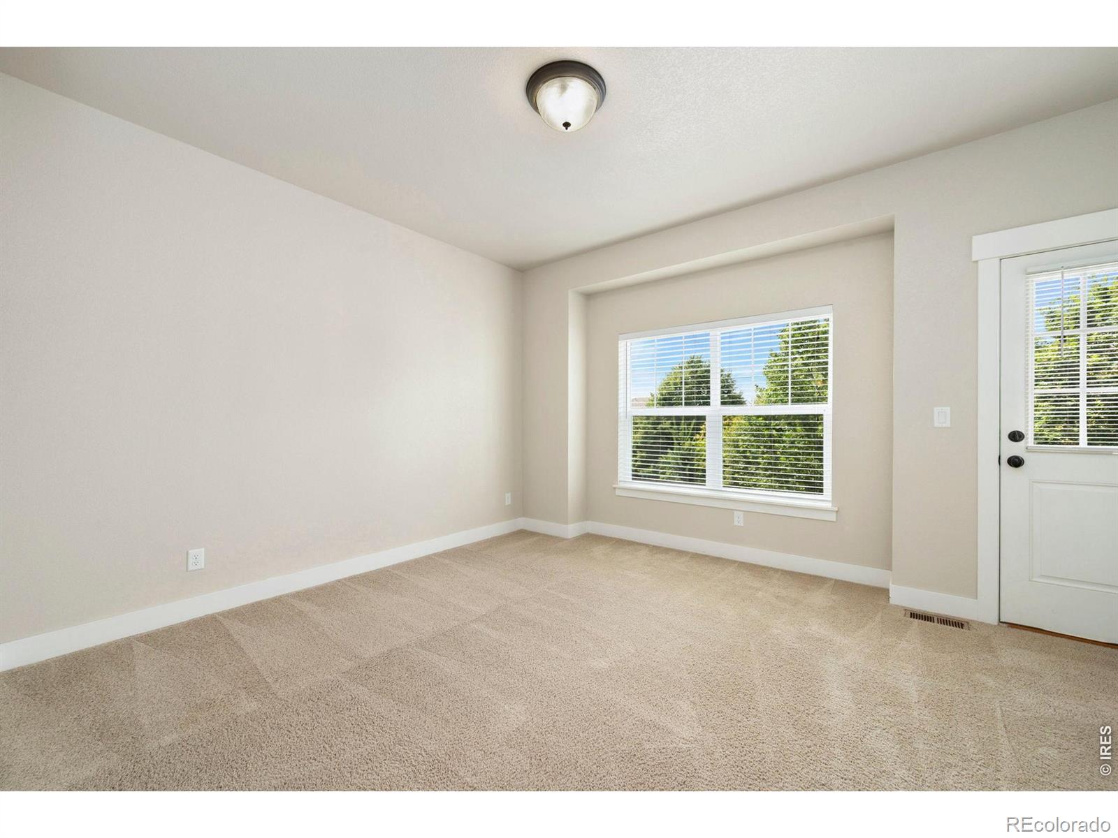MLS Image #17 for 3902  precision drive,fort collins, Colorado