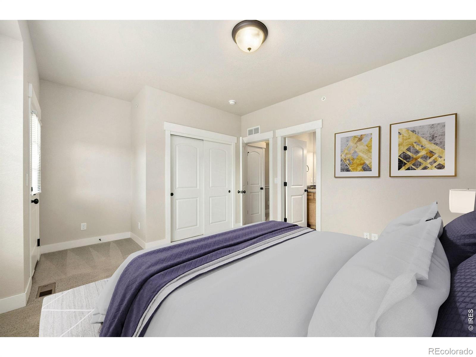 MLS Image #6 for 3902  precision drive,fort collins, Colorado