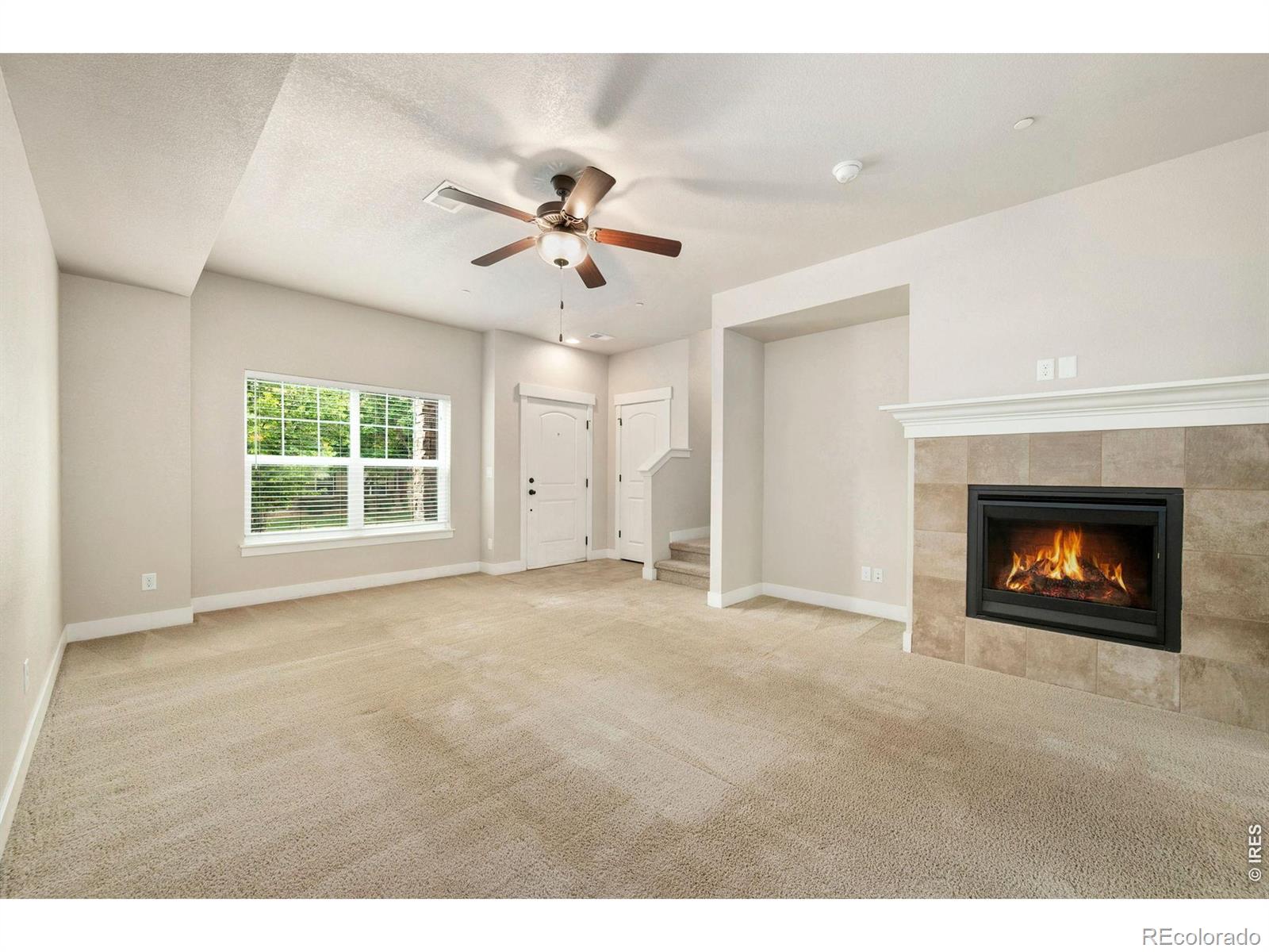 MLS Image #8 for 3902  precision drive,fort collins, Colorado