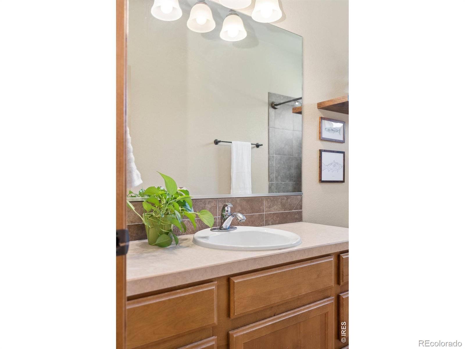 MLS Image #20 for 4746  brenton drive,fort collins, Colorado