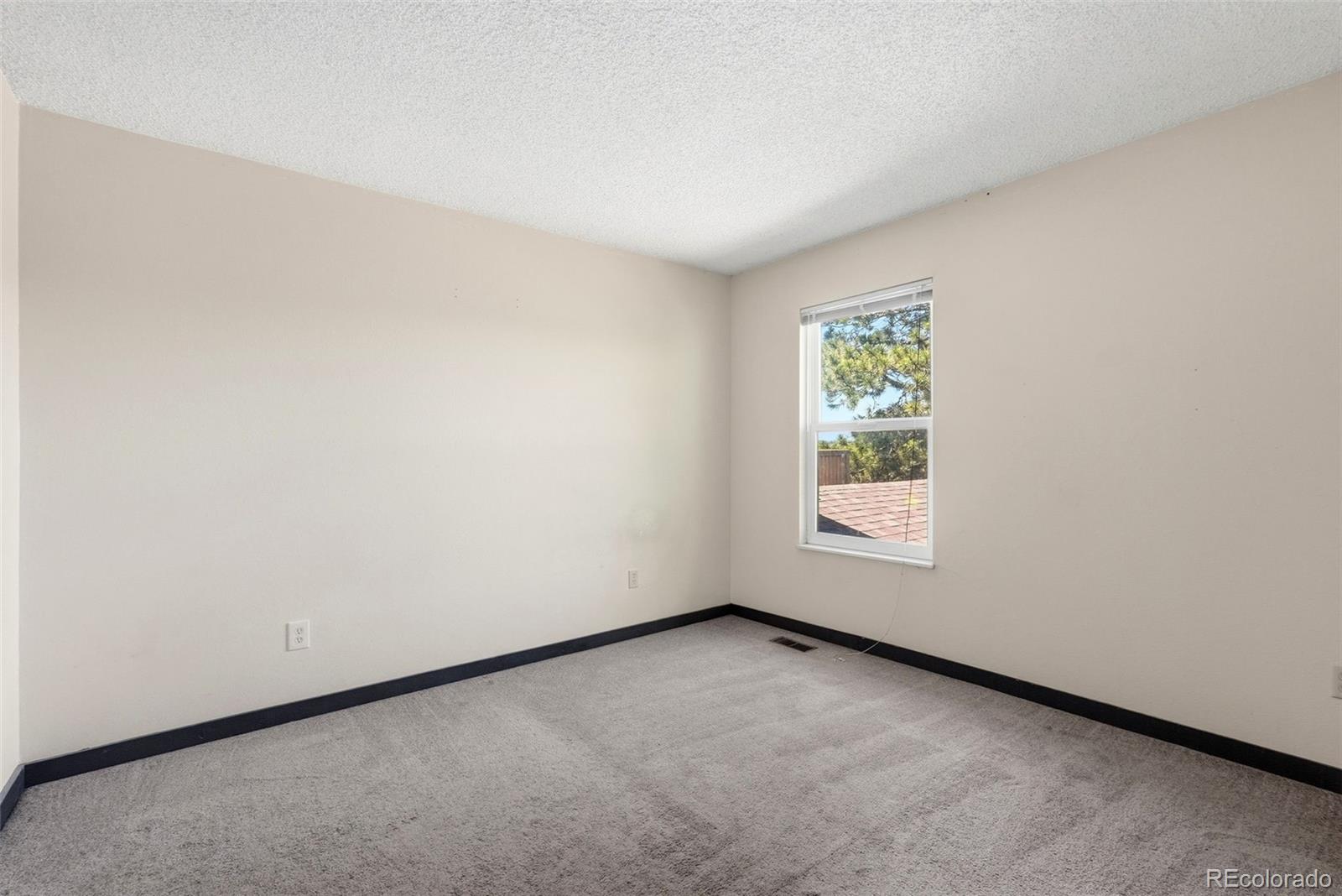 MLS Image #36 for 3040  purgatory drive,colorado springs, Colorado
