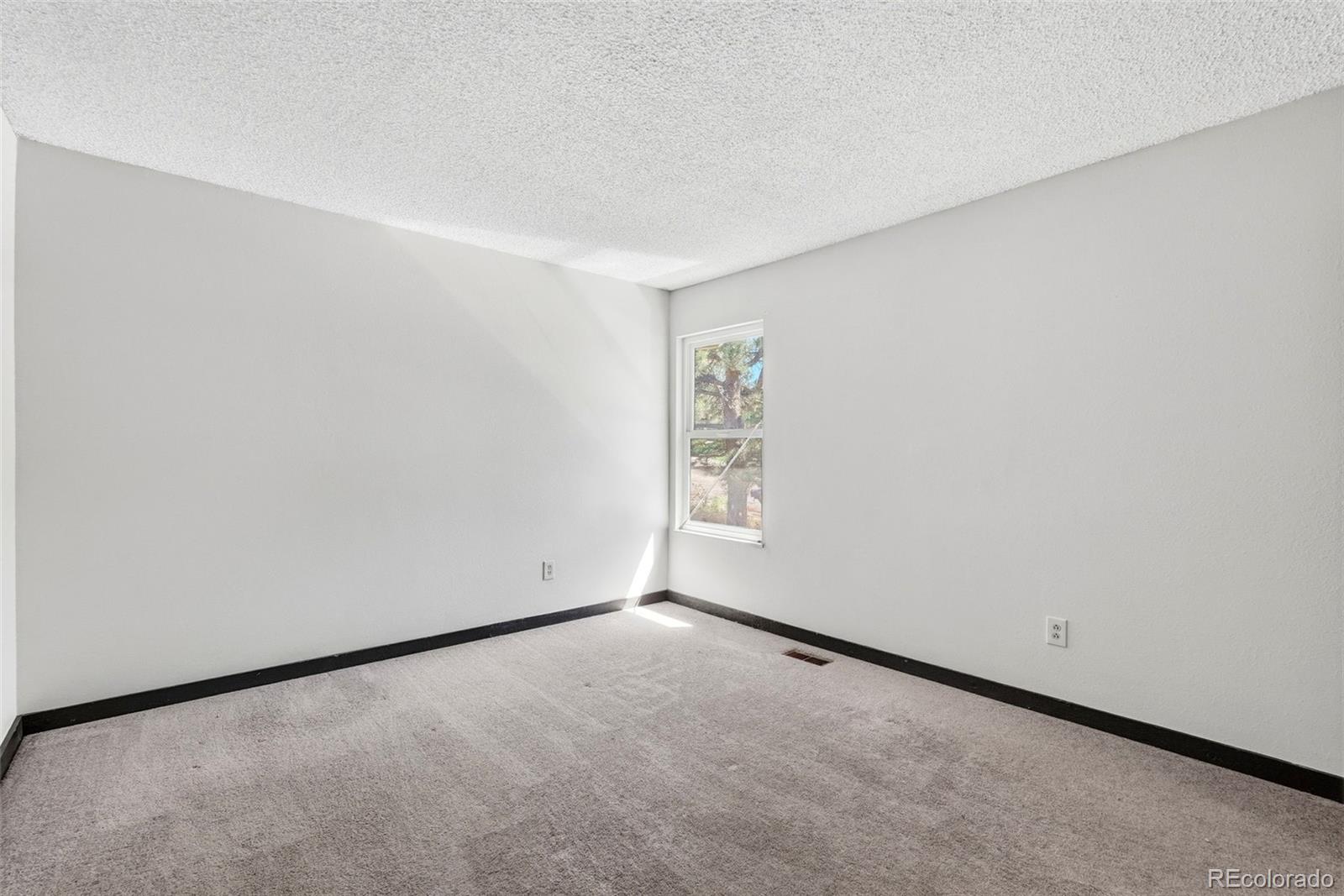 MLS Image #38 for 3040  purgatory drive,colorado springs, Colorado