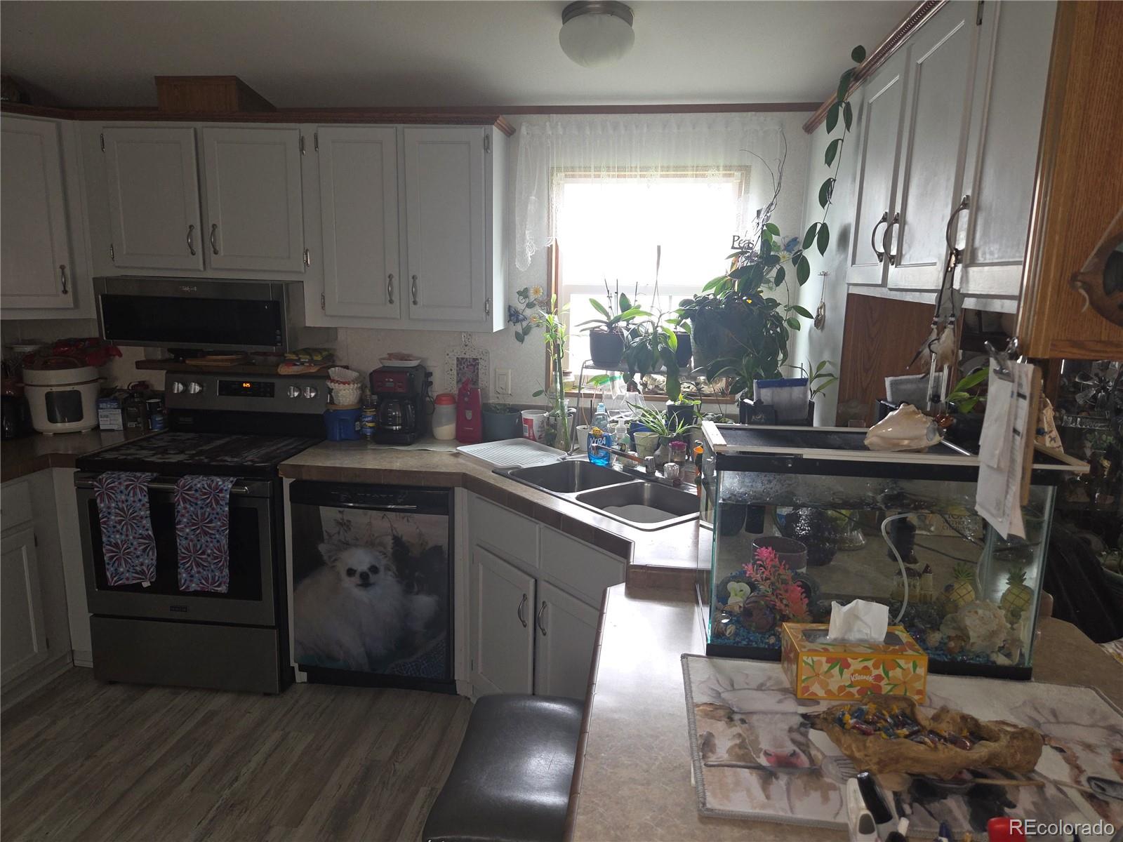 MLS Image #8 for 22852  washington avenue,orchard, Colorado