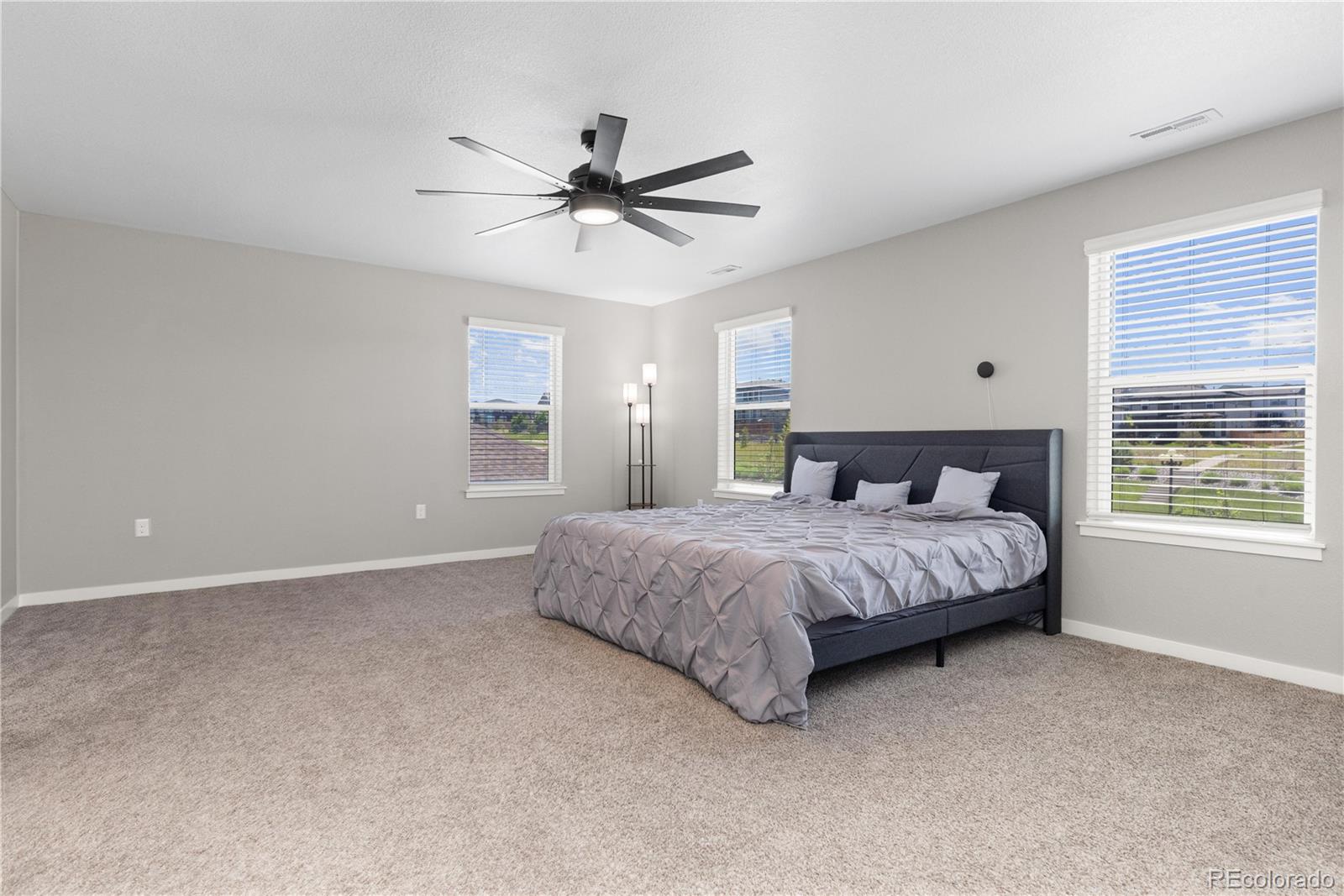 MLS Image #14 for 17308  red cosmos point,parker, Colorado