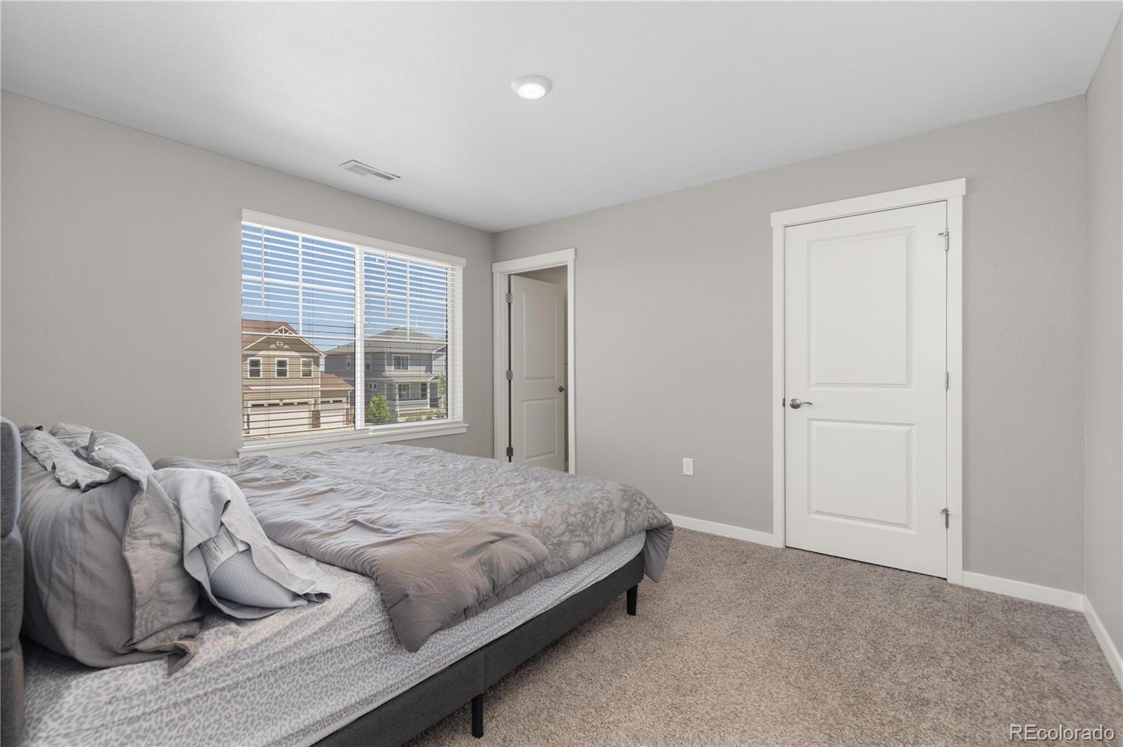 MLS Image #19 for 17308  red cosmos point,parker, Colorado