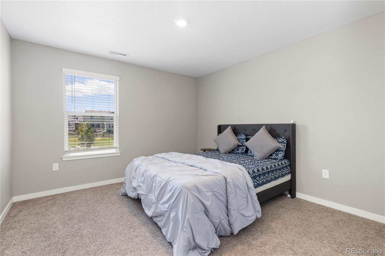 MLS Image #21 for 17308  red cosmos point,parker, Colorado