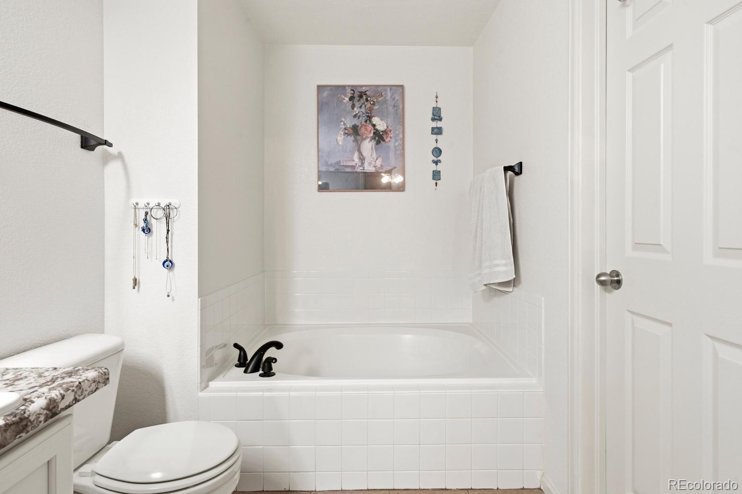 MLS Image #5 for 4232 s blackhawk circle,aurora, Colorado