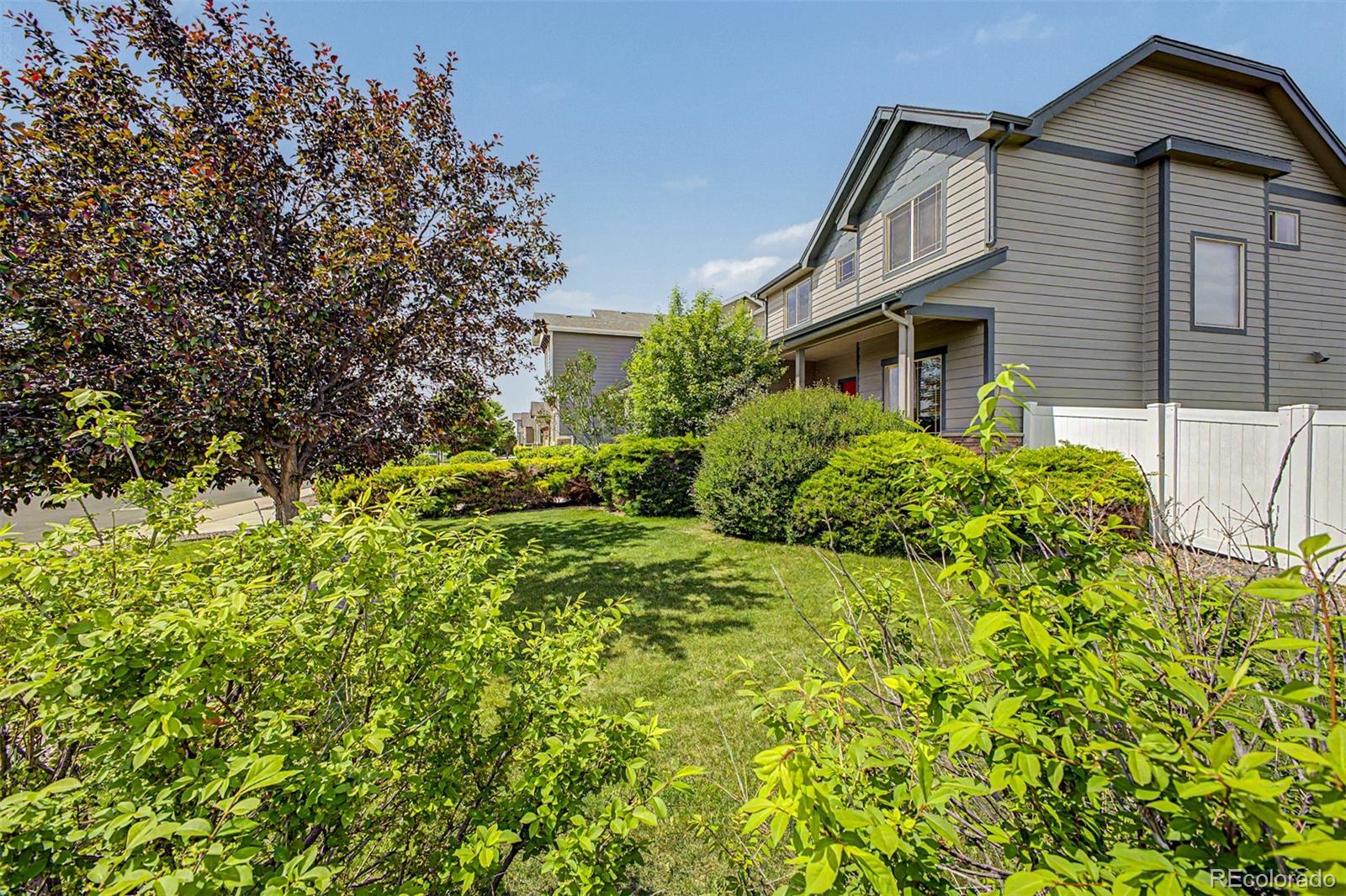 MLS Image #4 for 652  sundance drive,windsor, Colorado